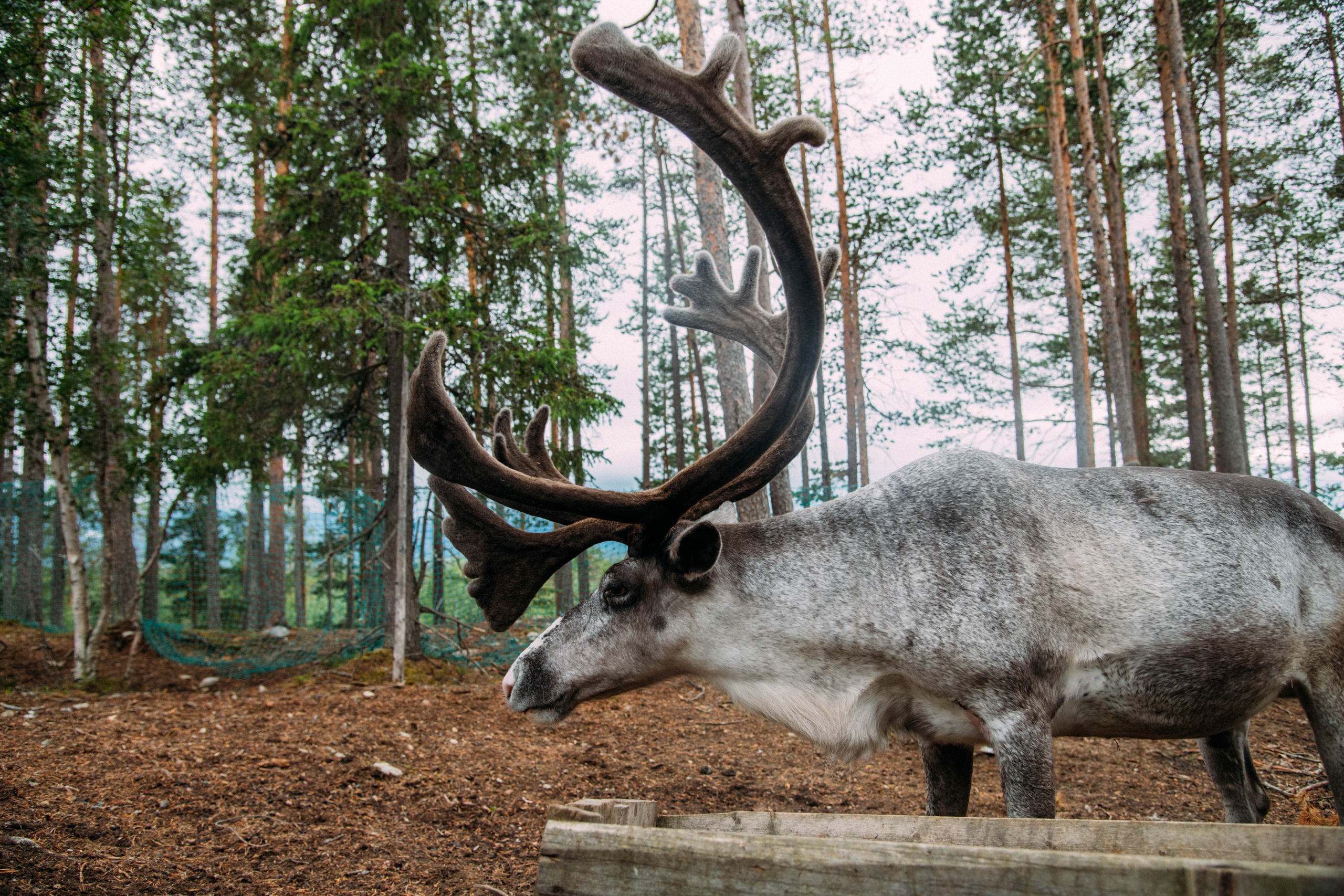 Кольский полуостров. Фотографирую для себя, своей семьи и друзей!