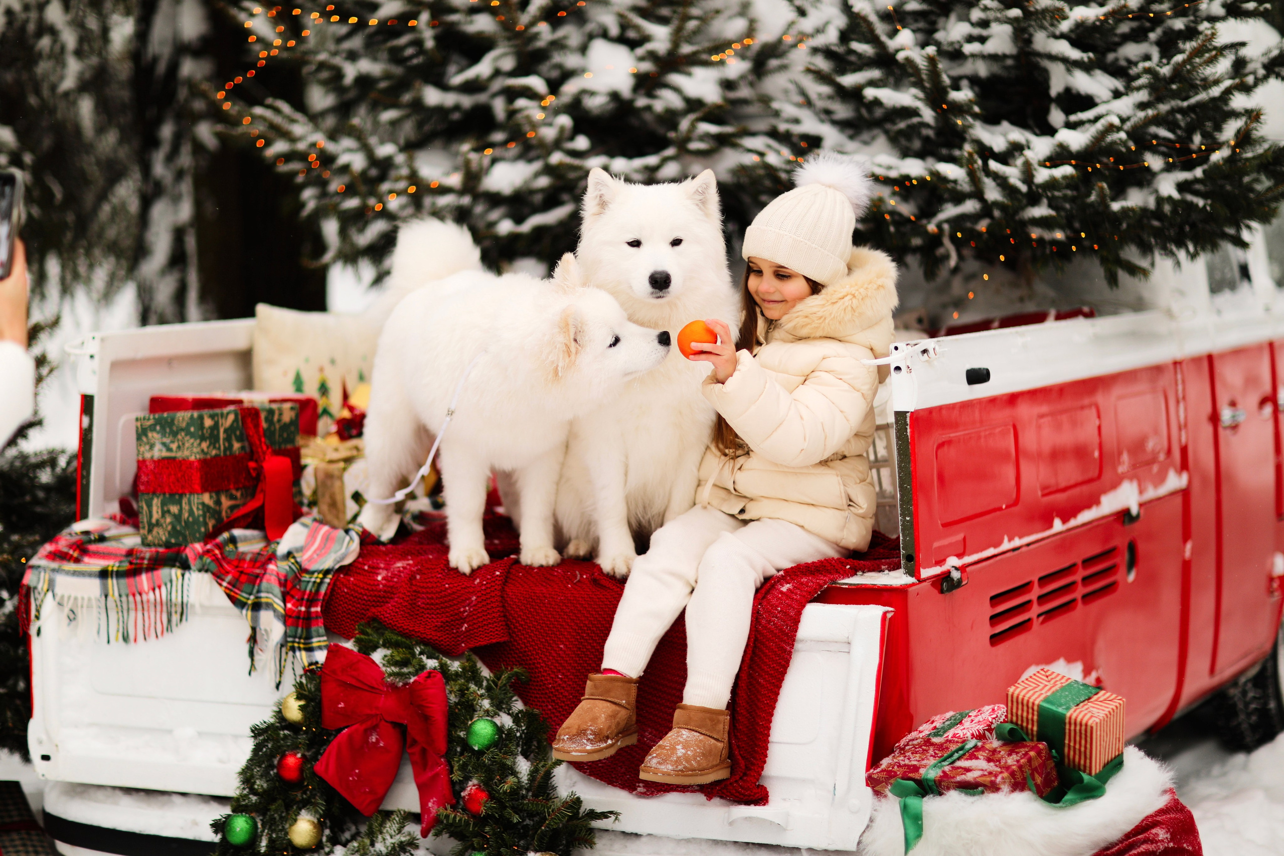 Winter Tale (зимняя детская фотосессия с самоедами). Семейный и детский фотограф Москва
