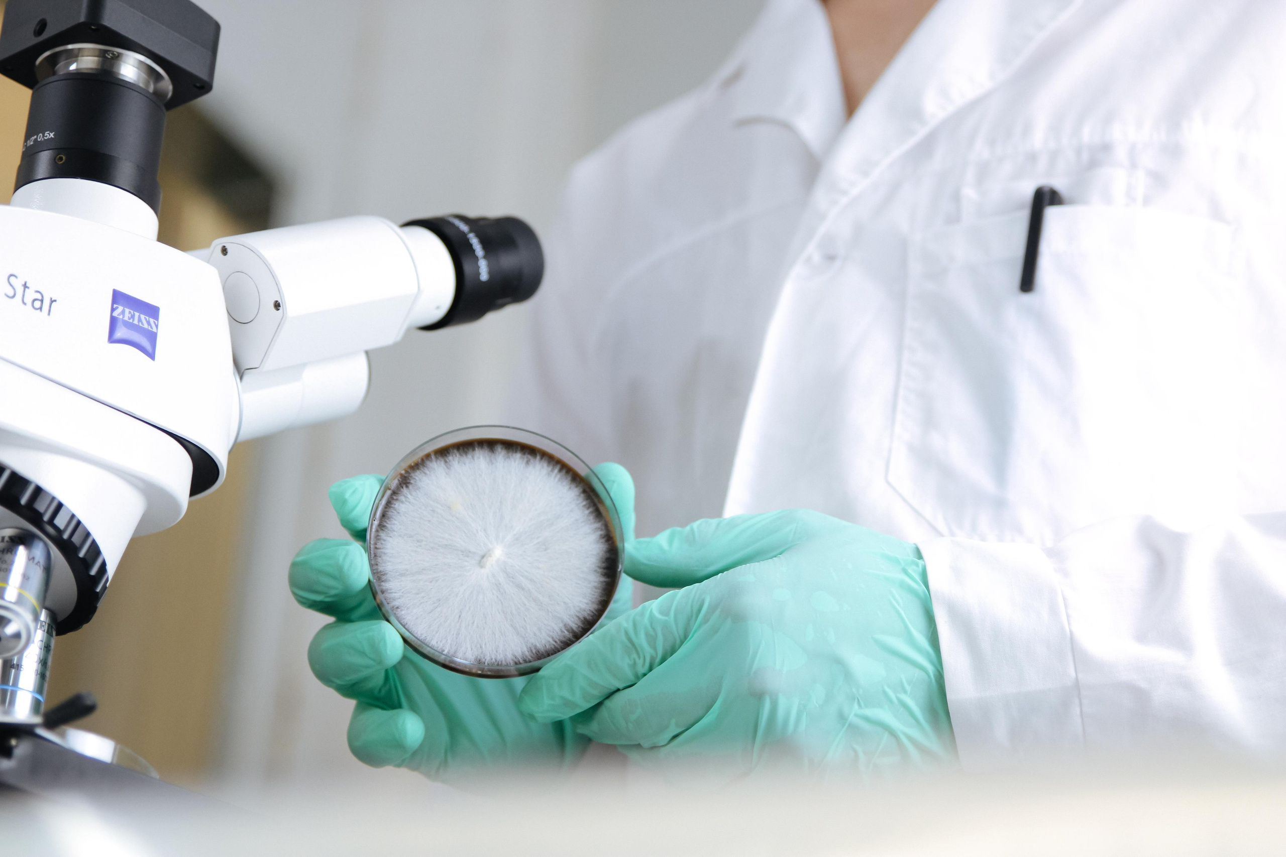Контент. Фотограф Новосибирск. Фотокарточки на память. Евгения Кудрявцева