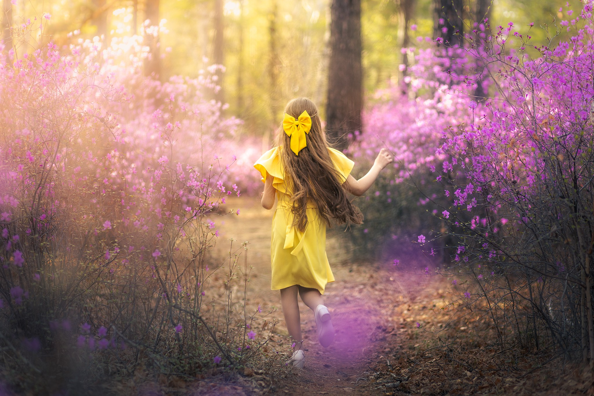 Фотограф Чита. Фотограф Дмитрий Портных | Чита