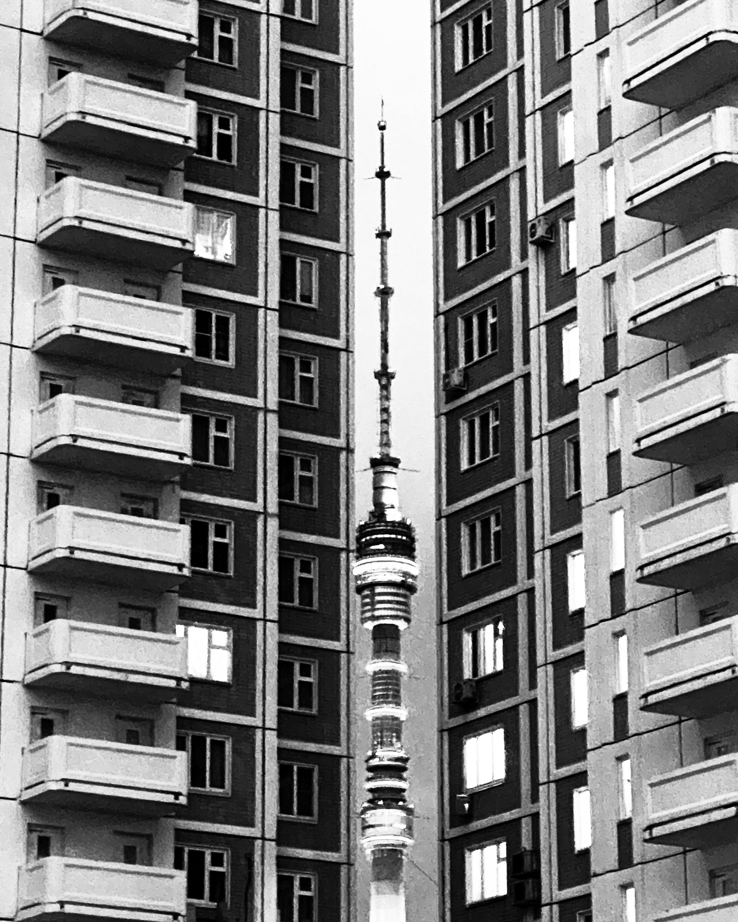 Работы с телефона. Свадебный фотограф в Москве Сафонова Анна