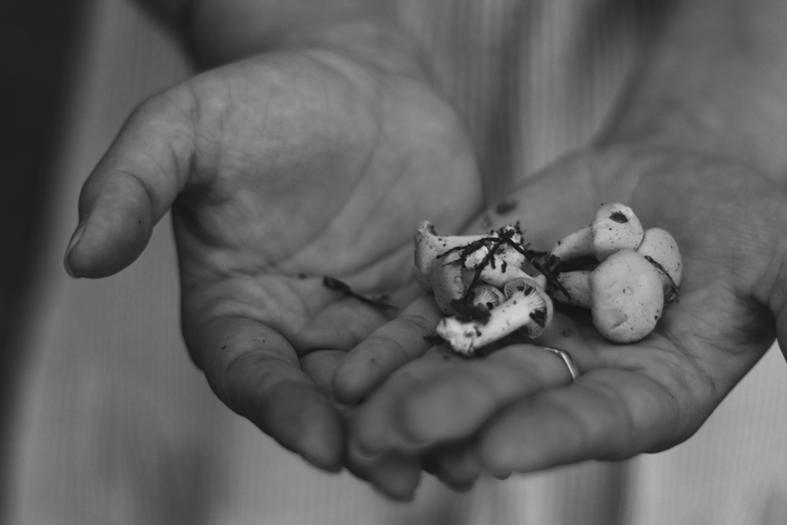 Диана. Ивентный фотограф в Санкт-Петербурге Олег Комков