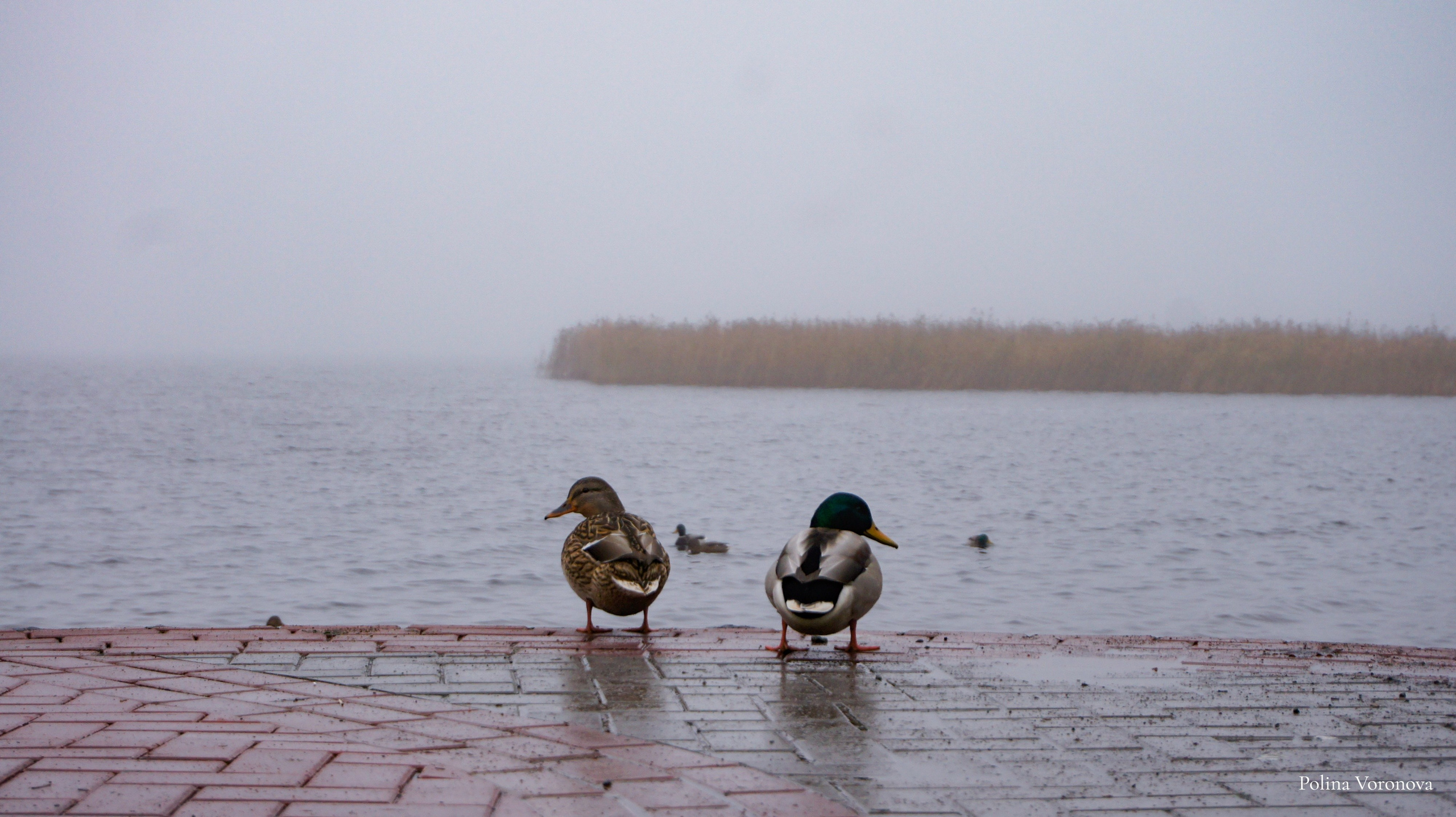 Сортавала Мистическая. Хорошая экспедиция