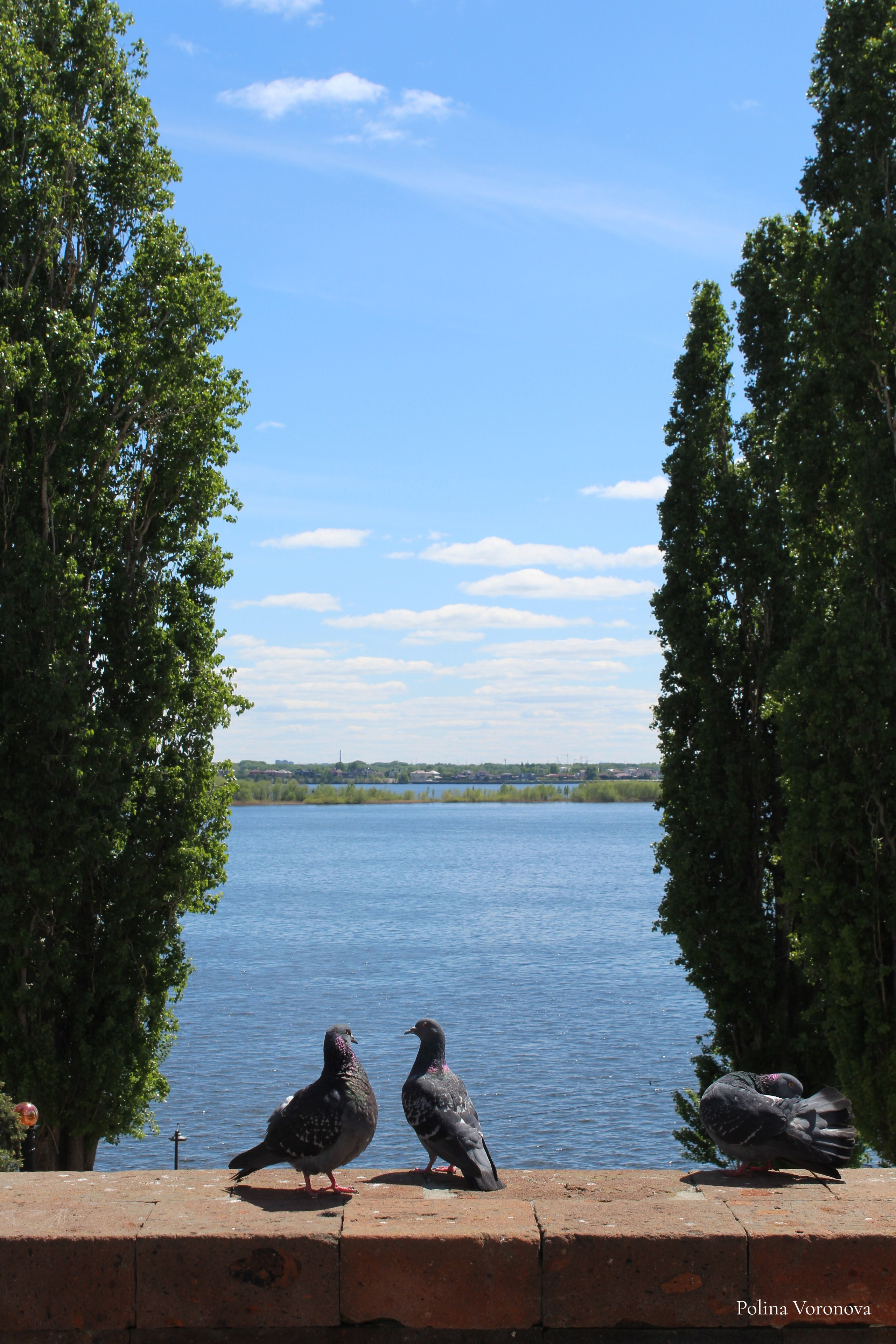 Саратов — город в упадке. Хорошая экспедиция