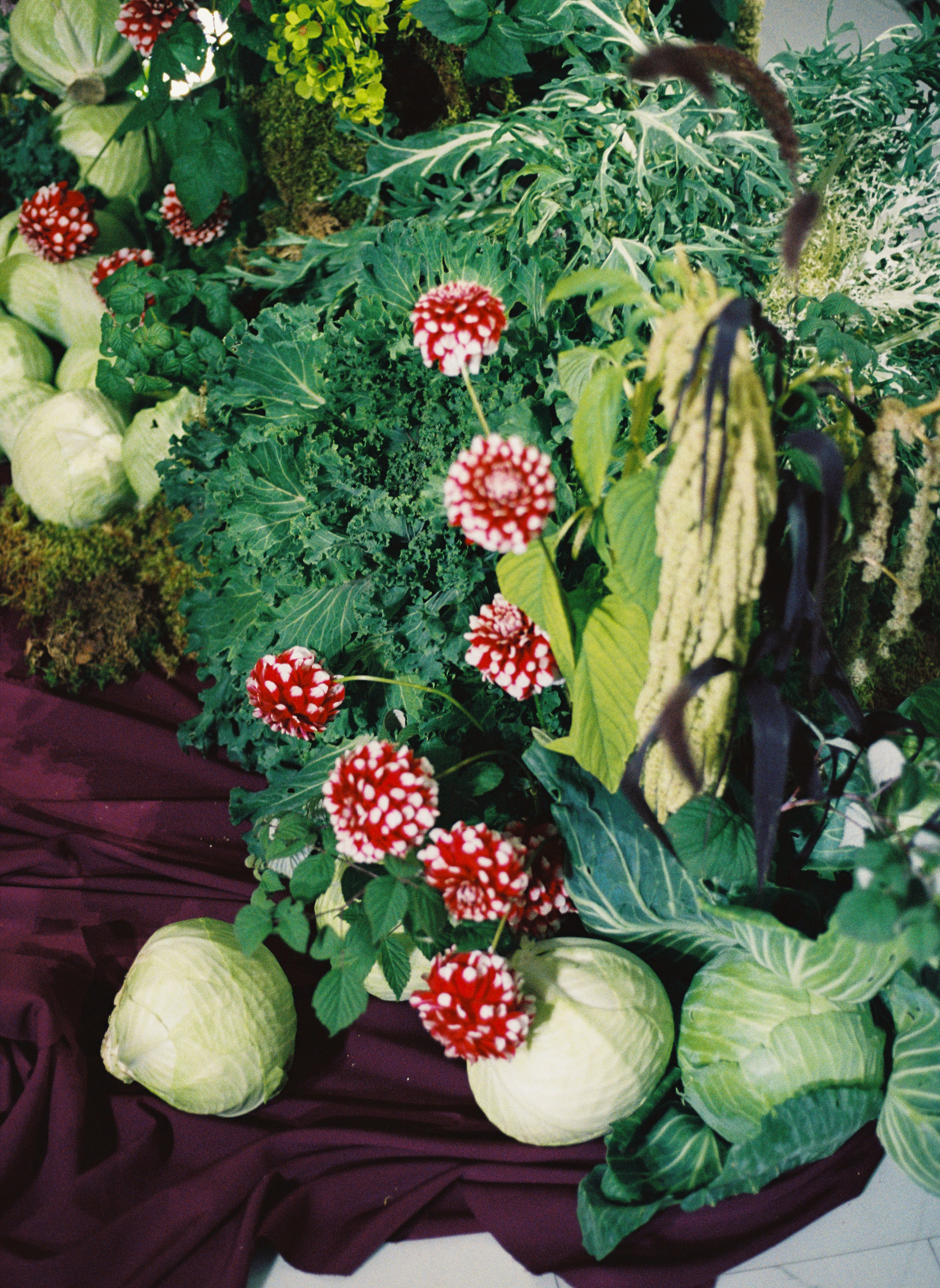 THE KAPUSTIN FAMILY. Свадебный фотограф Анна Чащухина