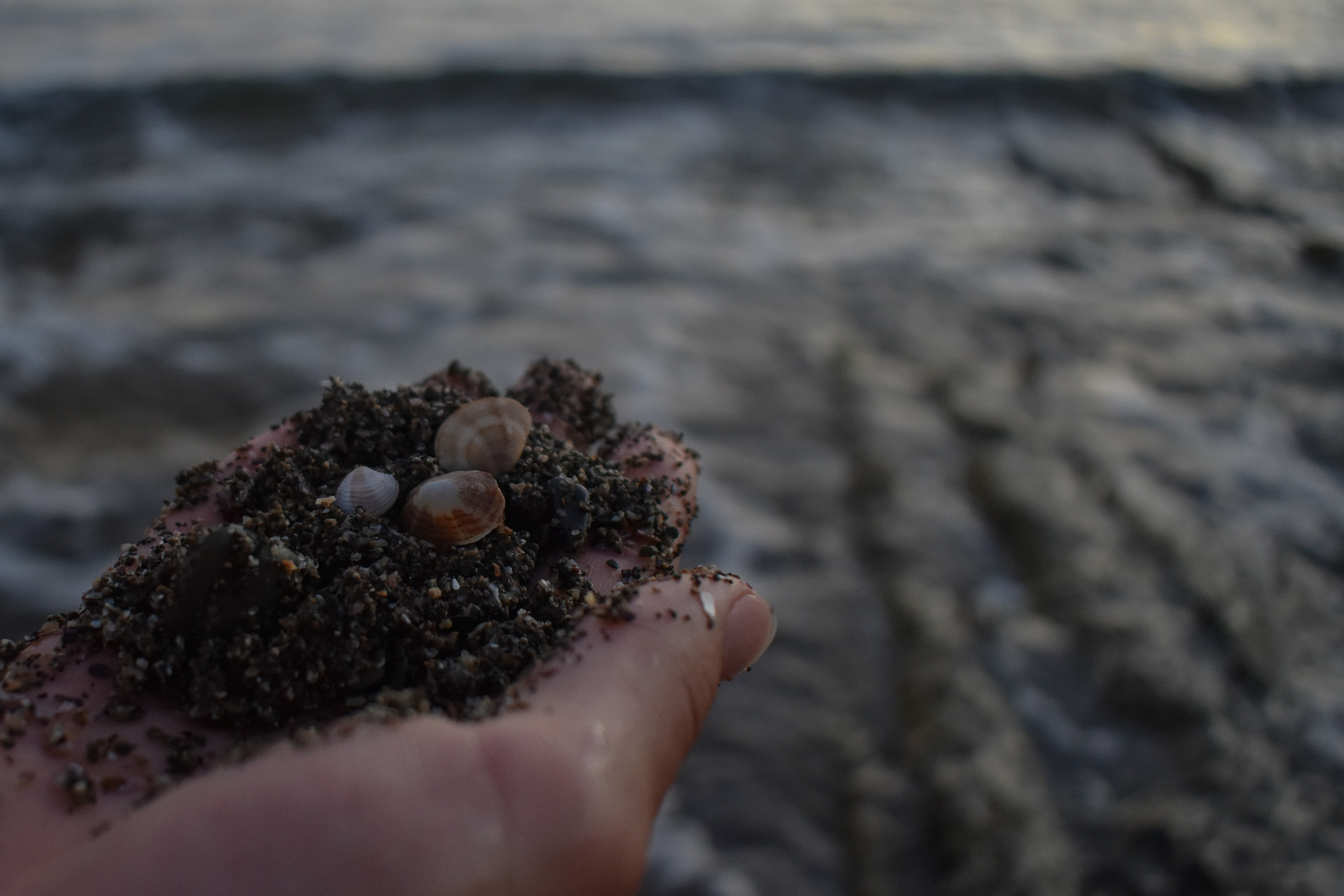 Д И А Н А. Женский и семейный фотограф в Москве Анастасия Филимонова