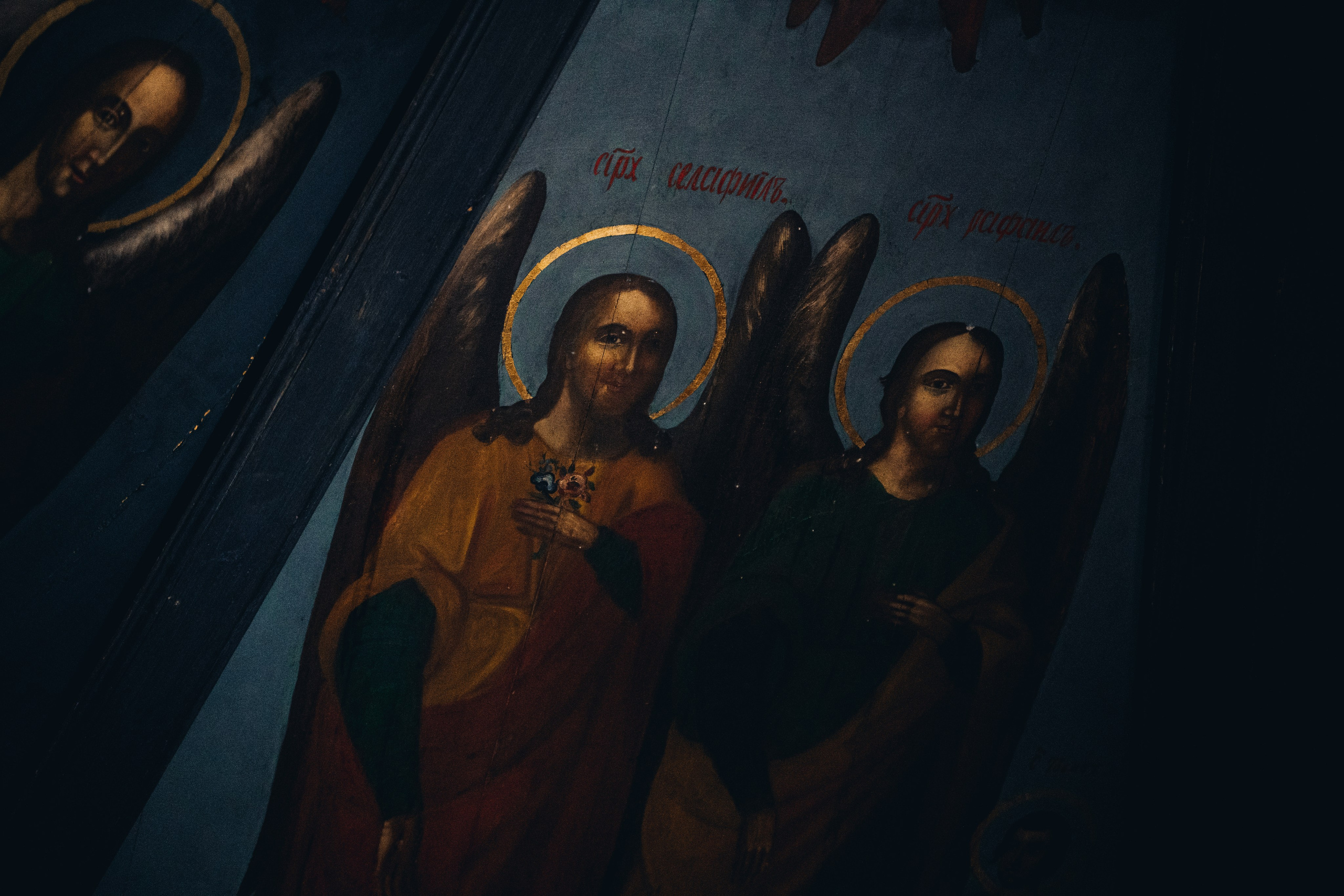 Кенозерье. Фотограф Александр Решня