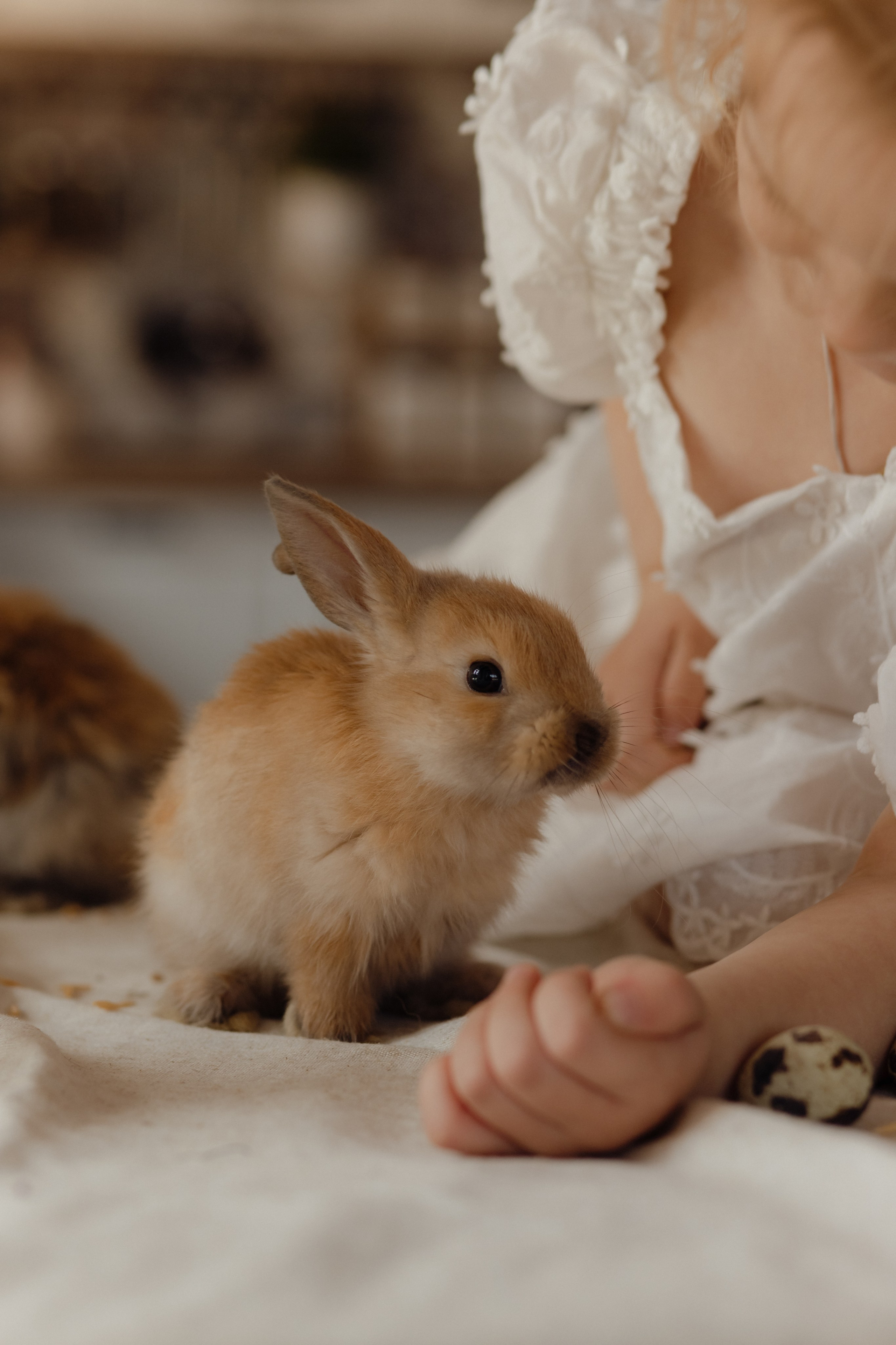 Варвара. Семейный и свадебный фотограф в Челябинске Мария Леонтьева