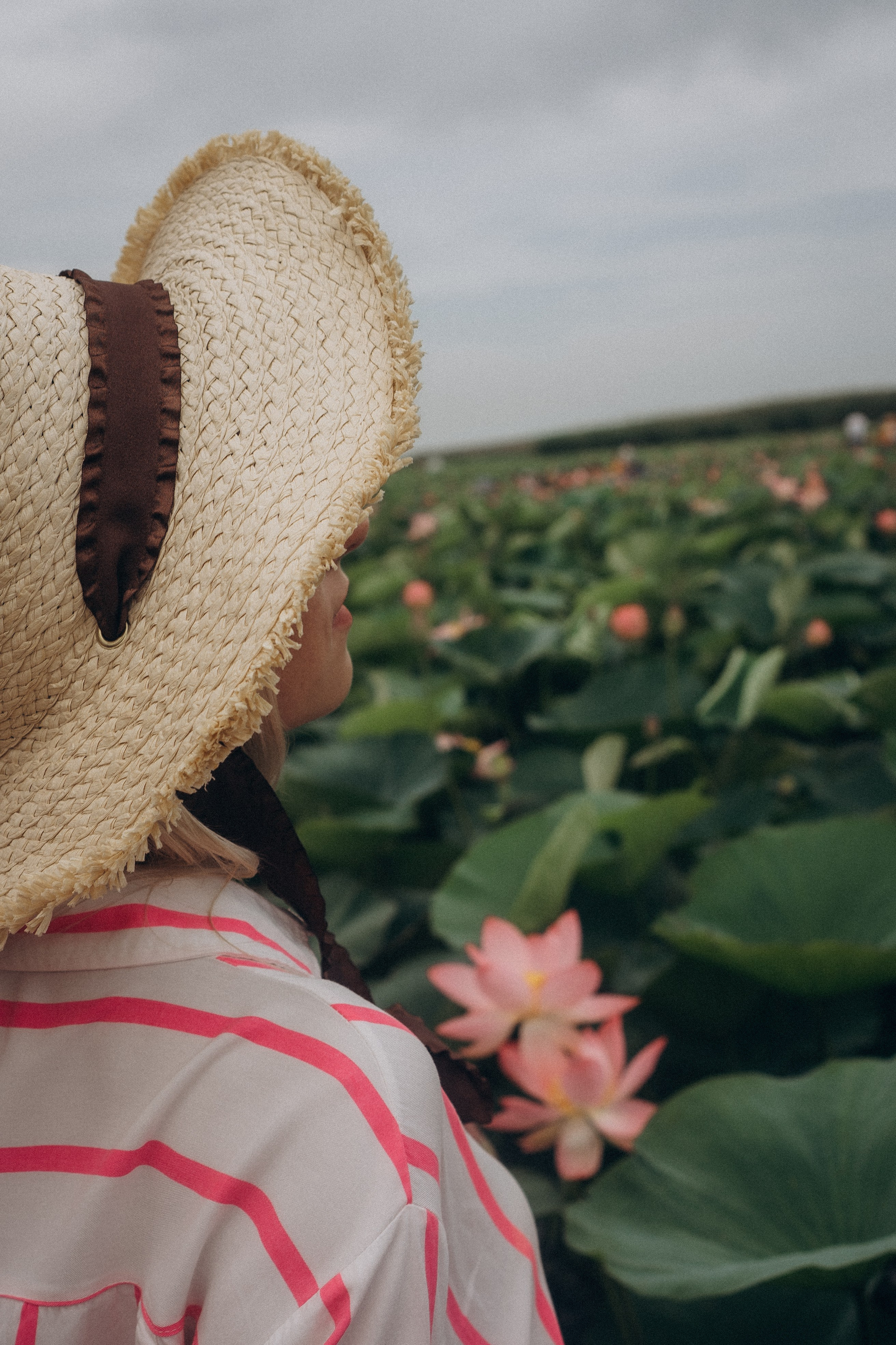ЛОТОСОВАЯ ПОЛЯНА. Профессиональный фотограф, Санкт-Петербург — Виктория Богомолова