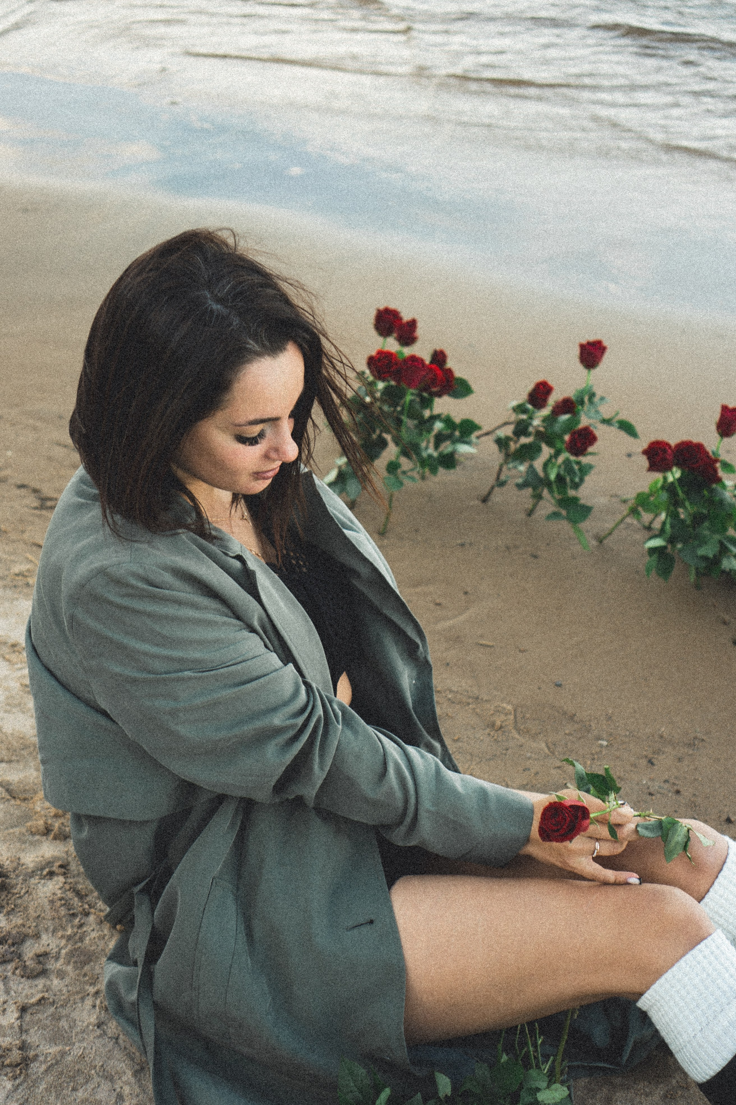 Розы. Профессиональный фотограф, Санкт-Петербург — Виктория Богомолова