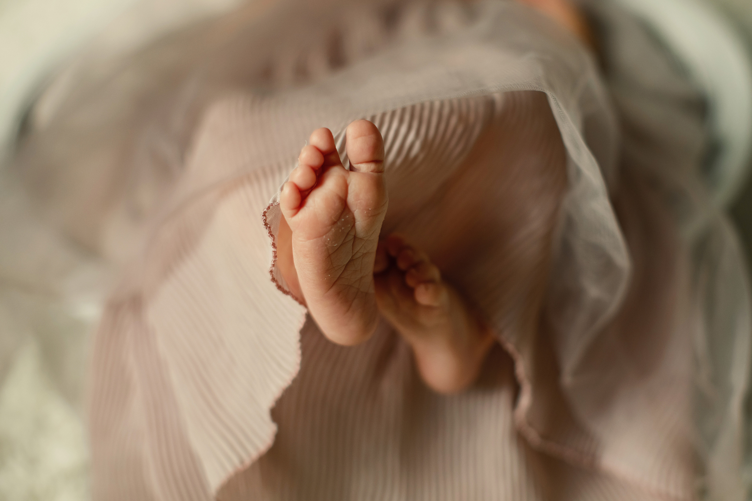 Агата. Семейный и детский фотограф в Ярославле Татьяна Бабкова