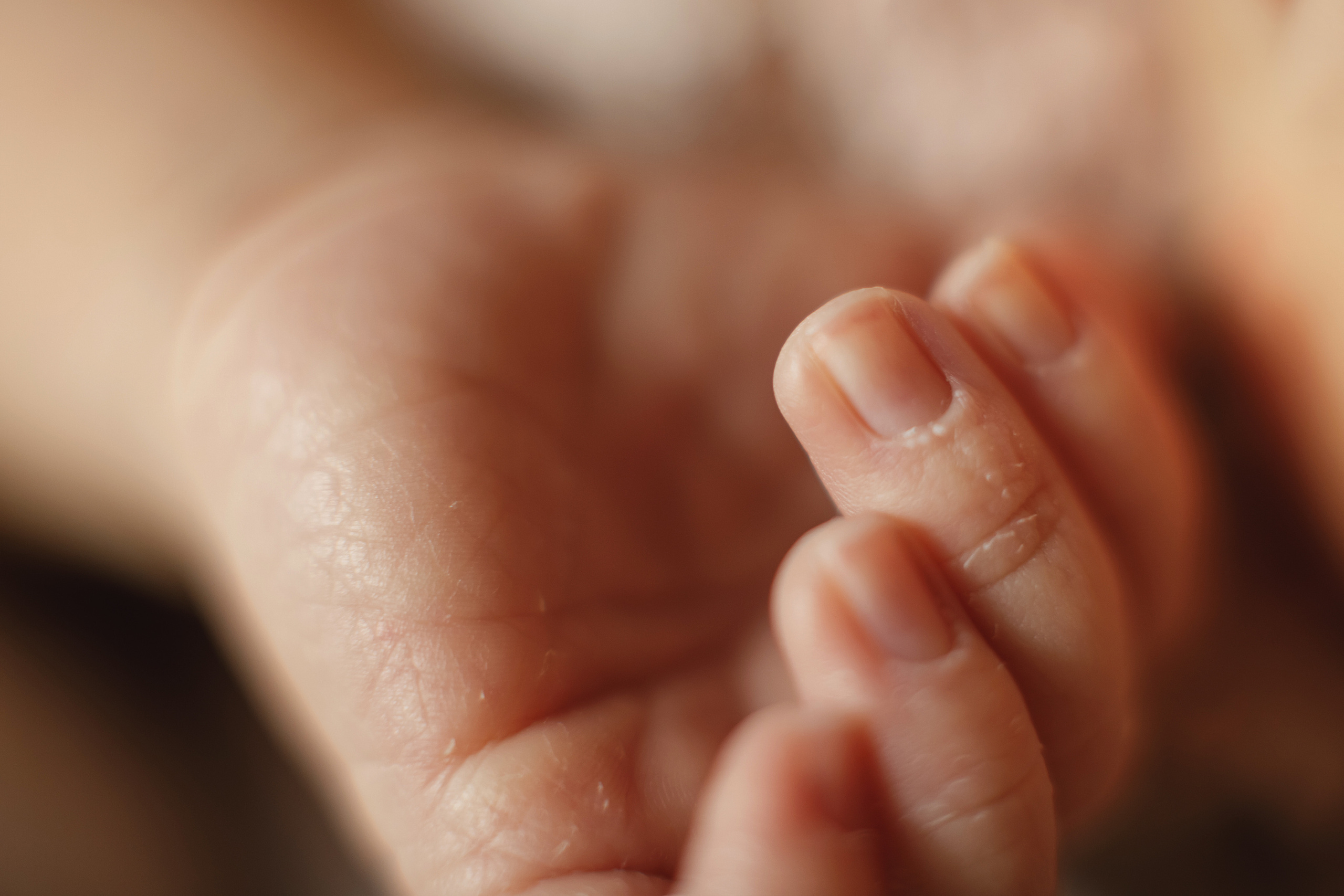 Агата. Семейный и детский фотограф в Ярославле Татьяна Бабкова