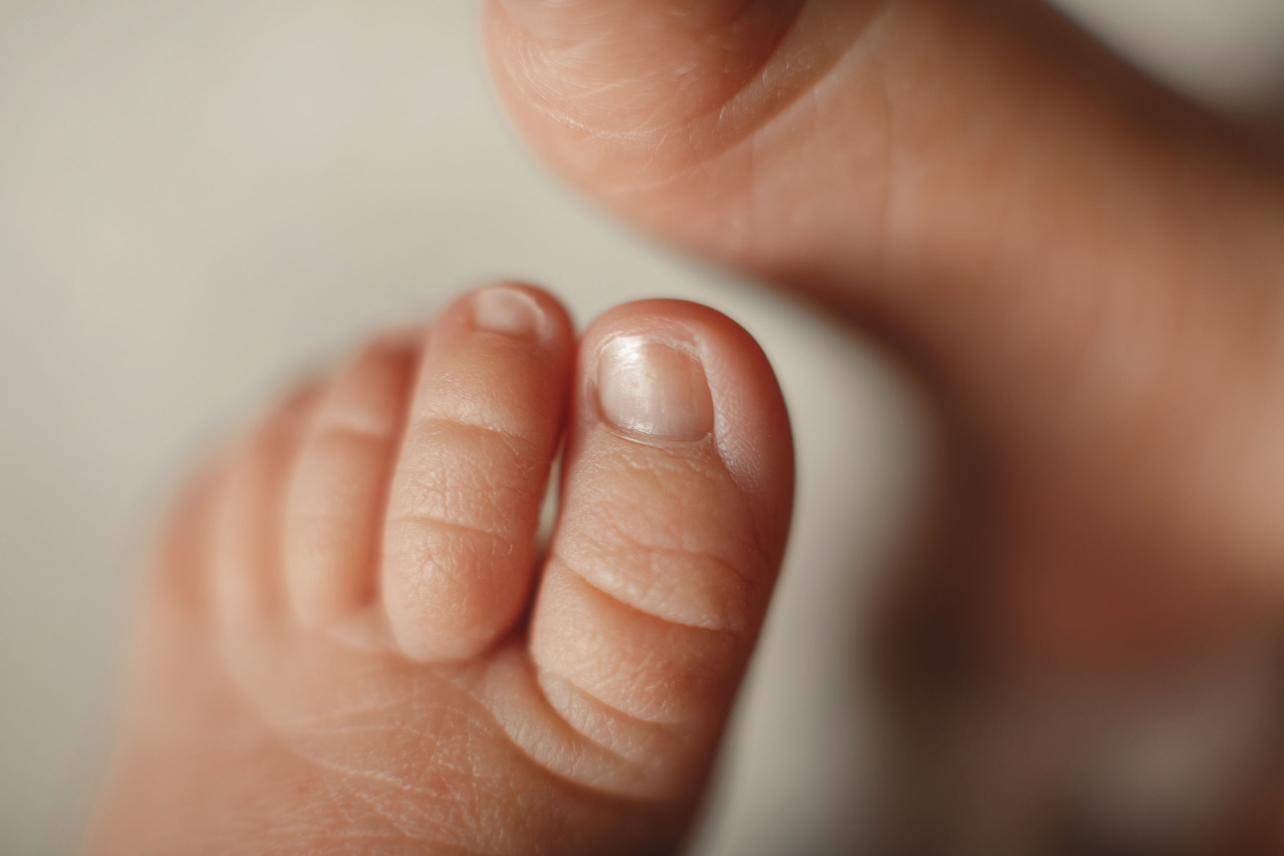 Агата. Семейный и детский фотограф в Ярославле Татьяна Бабкова