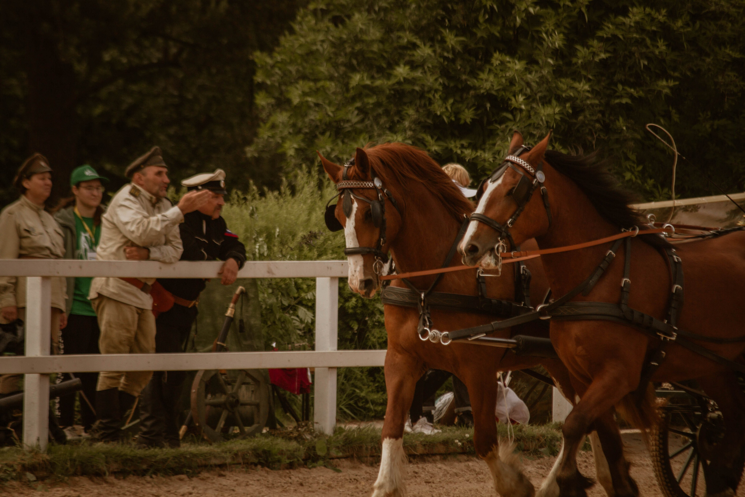 ИППОСФЕРА — Международная конная выставка. Создадим шедевр? Виталина и её фотоискусство