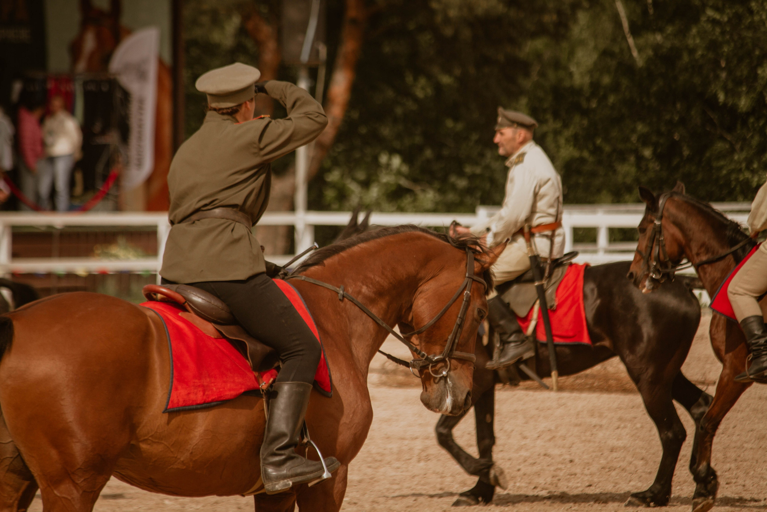 ИППОСФЕРА — Международная конная выставка. Создадим шедевр? Виталина и её фотоискусство