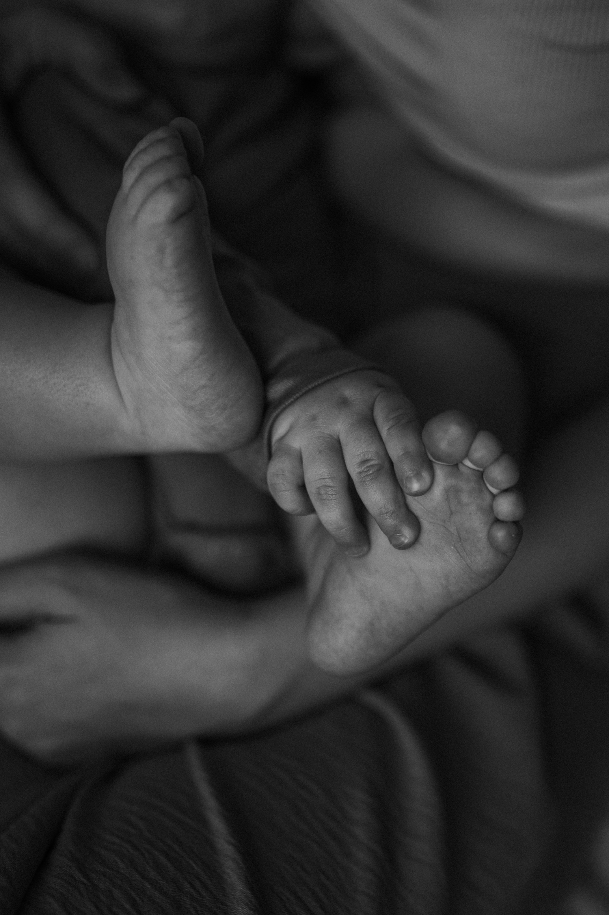 Алена, Женя, Паулина. Www.ostermiller.ru