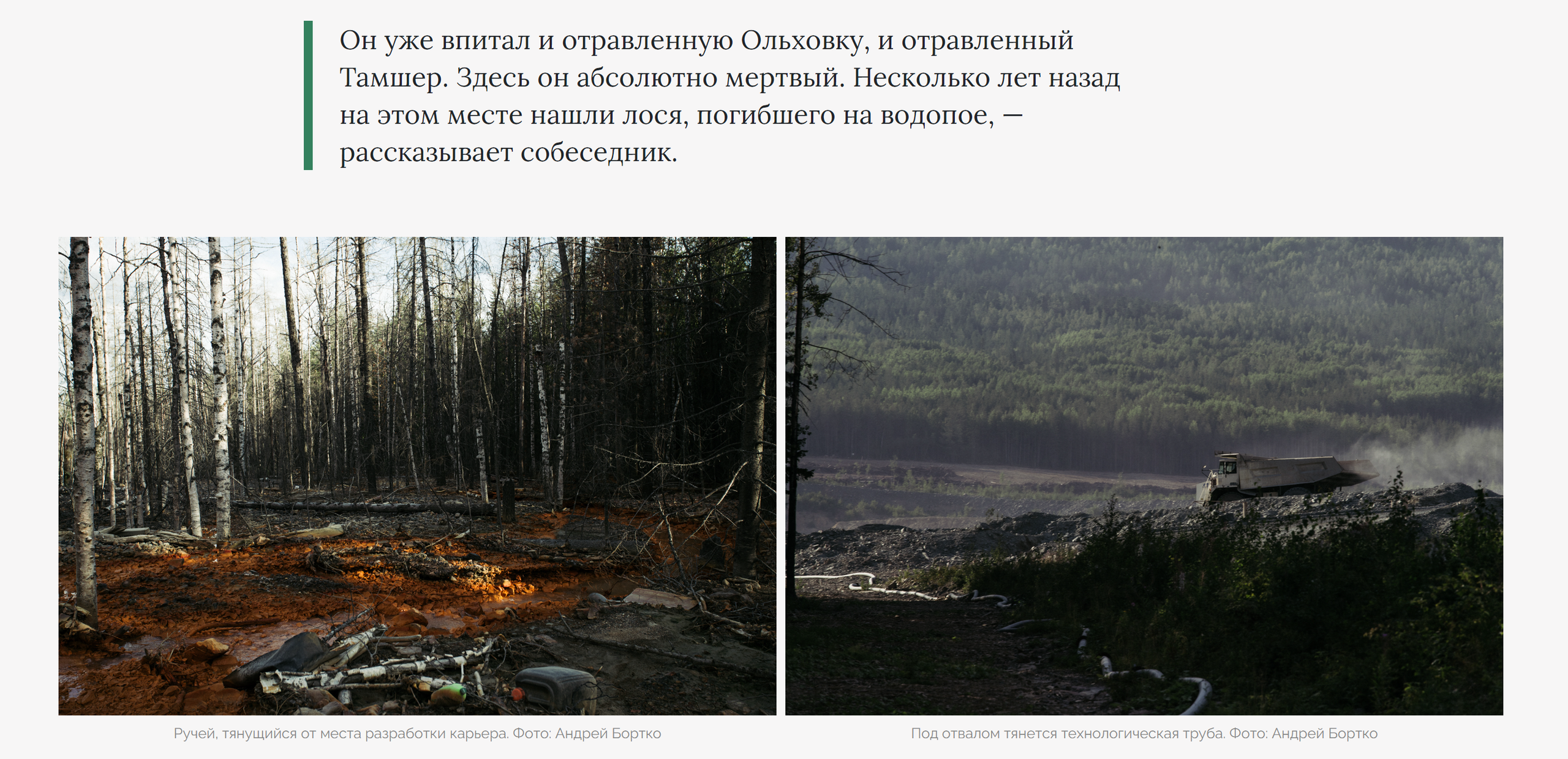 Смерть в мутной воде |Кедр.медиа