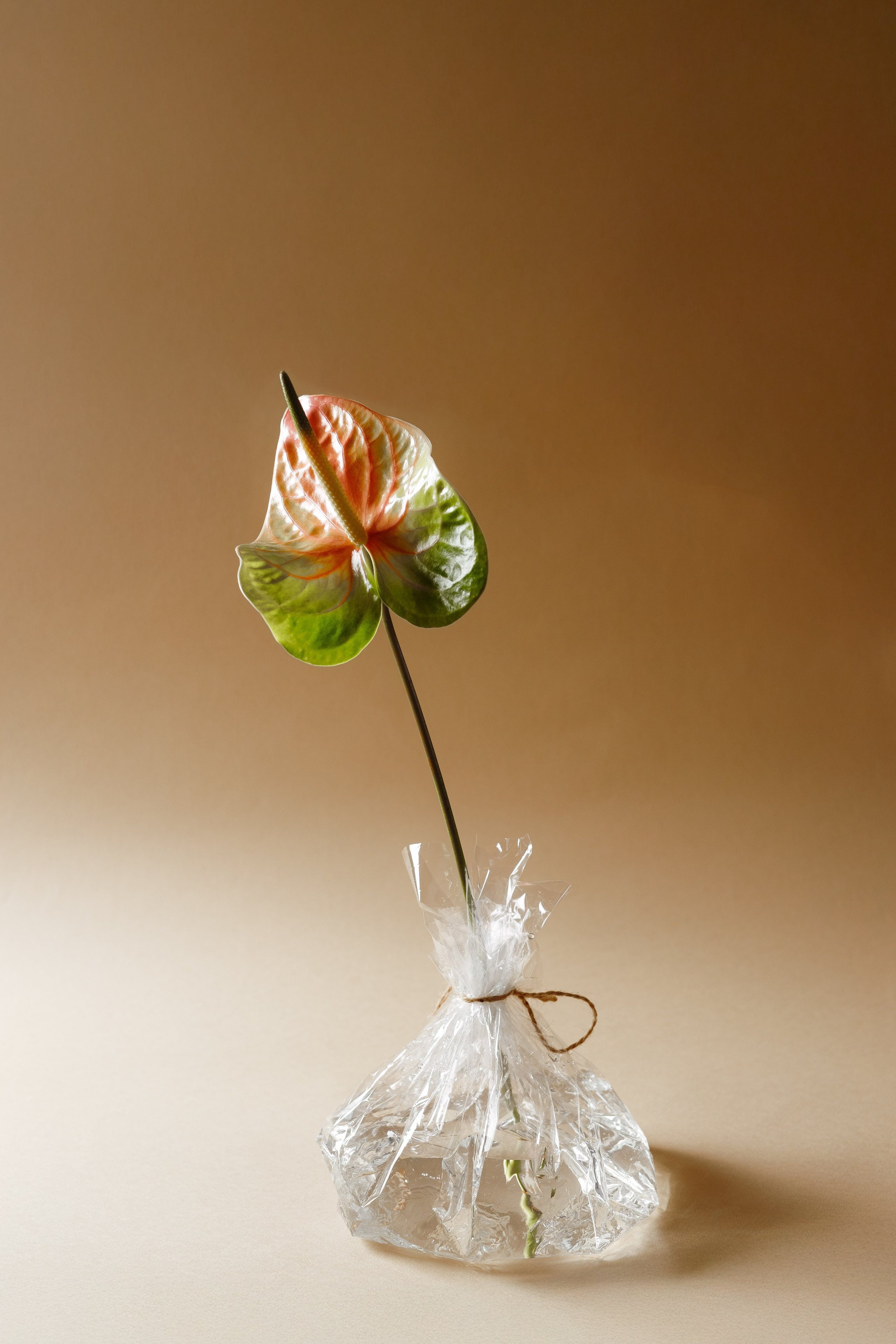 Flowers. NICKZAVALISHIN — Визуал который продаёт