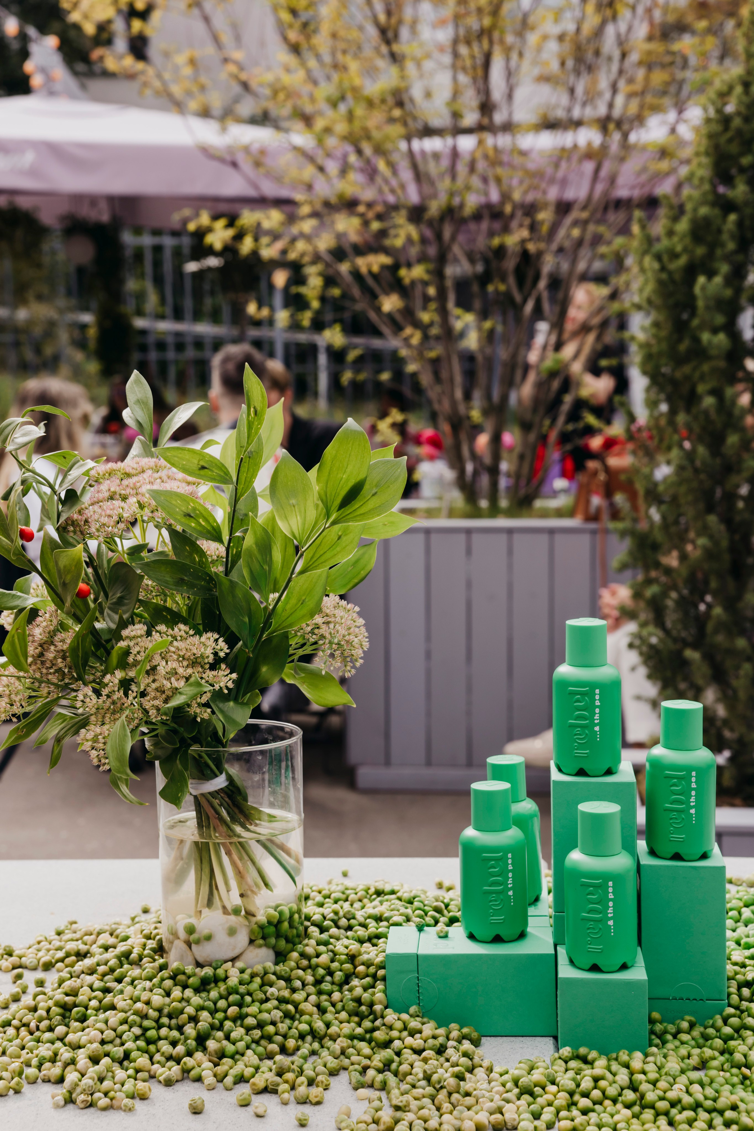 «Rebel» by «Molecule». «Птичка на проводе»: информационный портал в Москве