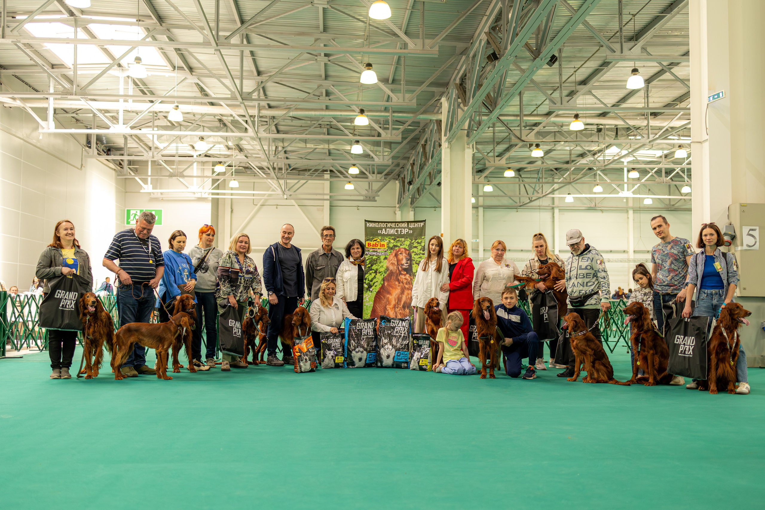 Выставка сеттеров 19.05.24