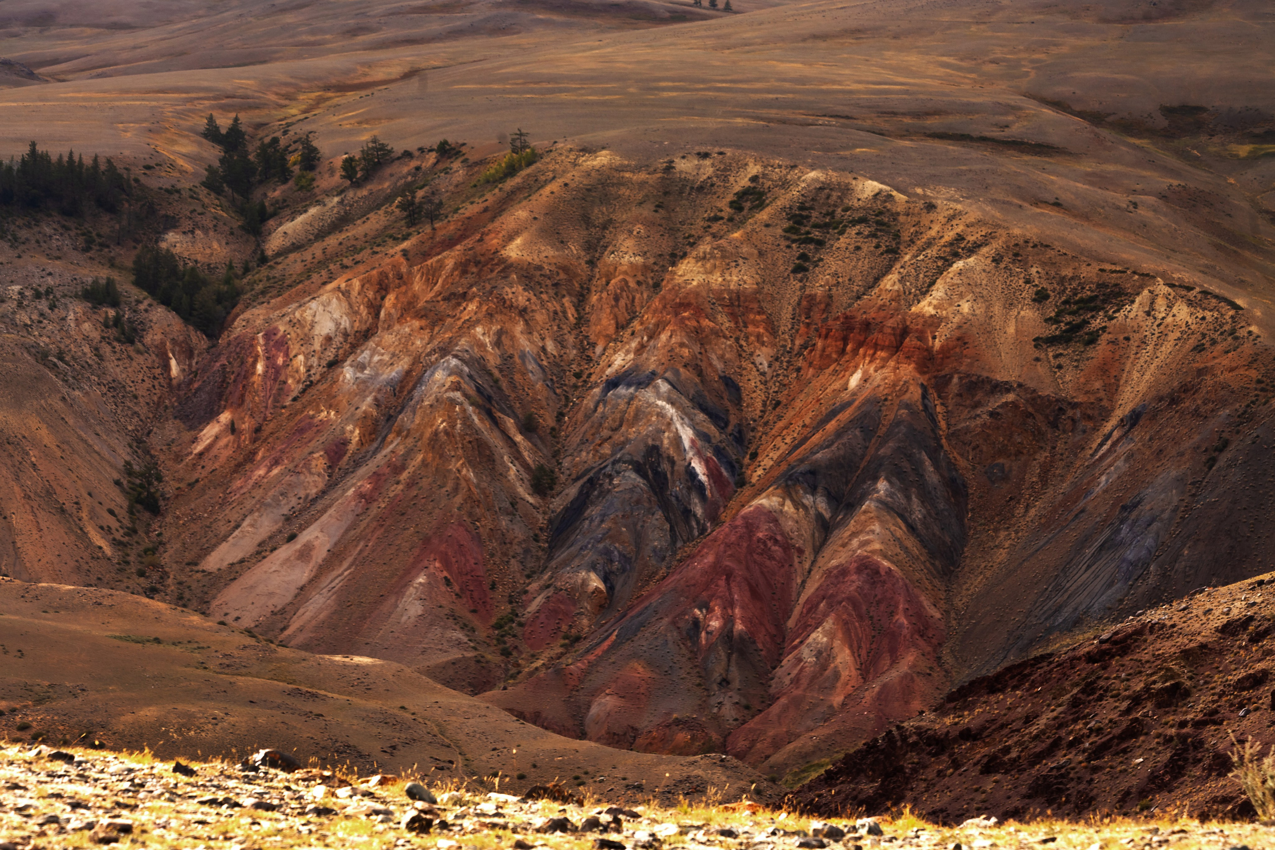 АЛТАЙ 2024 / ALTAI 2024. Главная