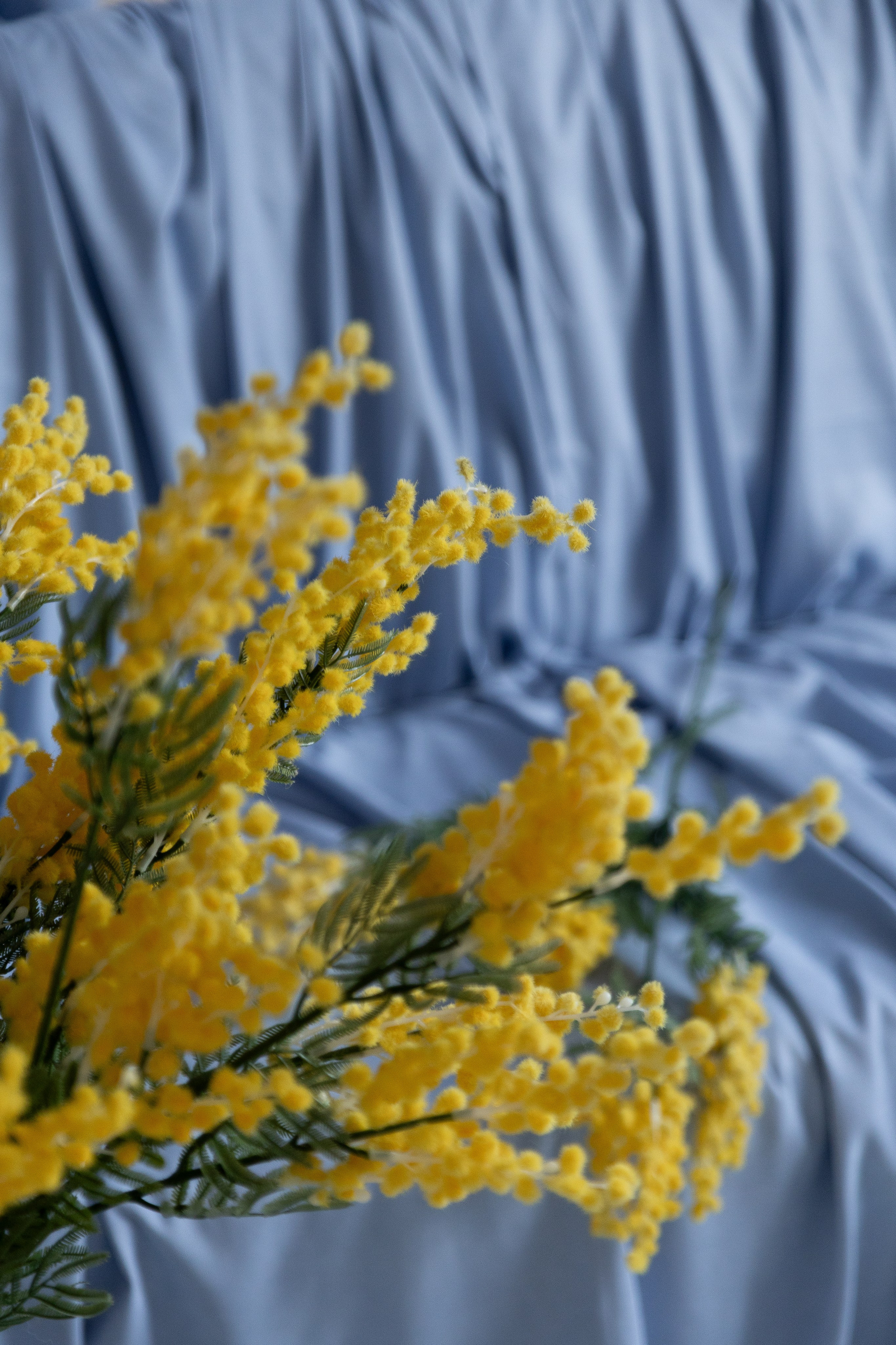 Дом, зал Бали (Калинина 189а). Портретный, семейный, свадебный фотограф в Брянске Маргарита Василькова