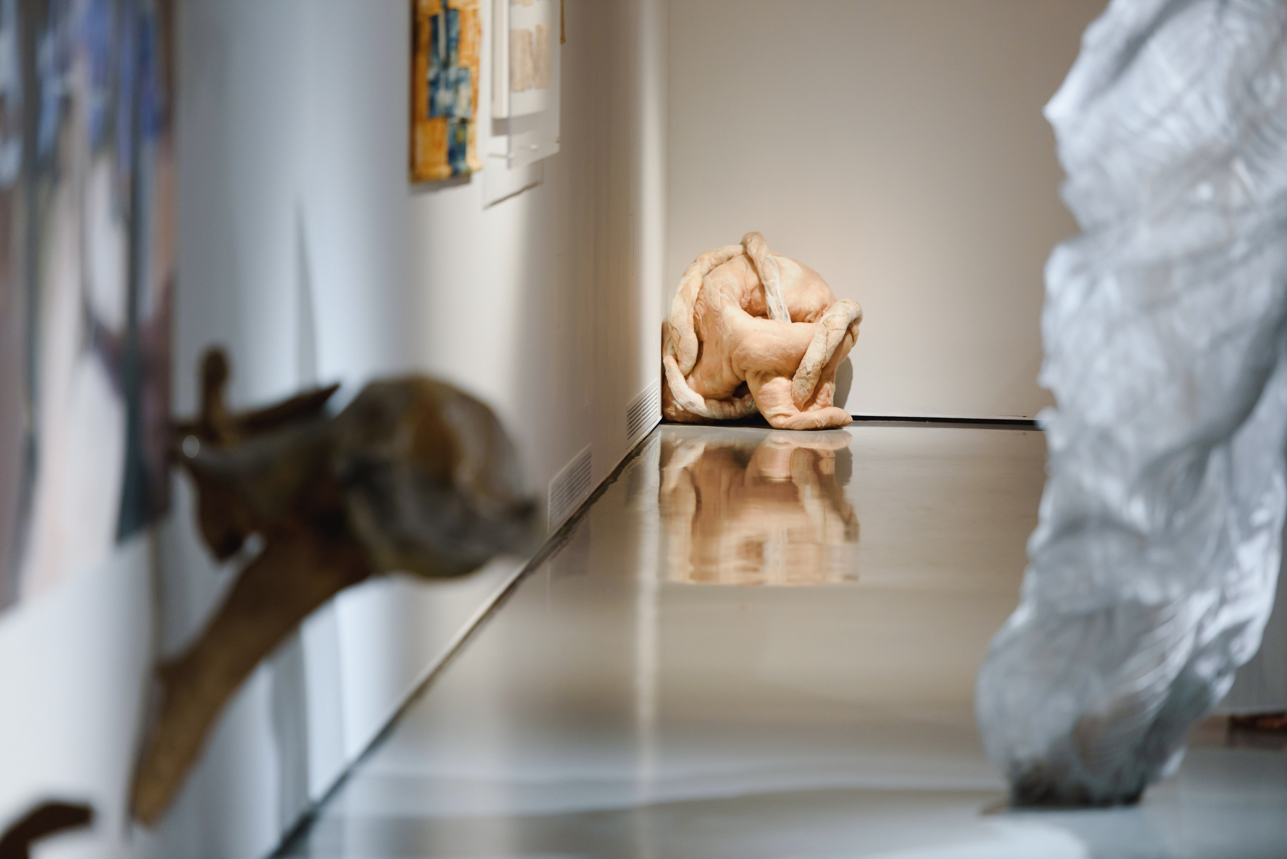 Выставки. Фотограф Руслан Хафизов