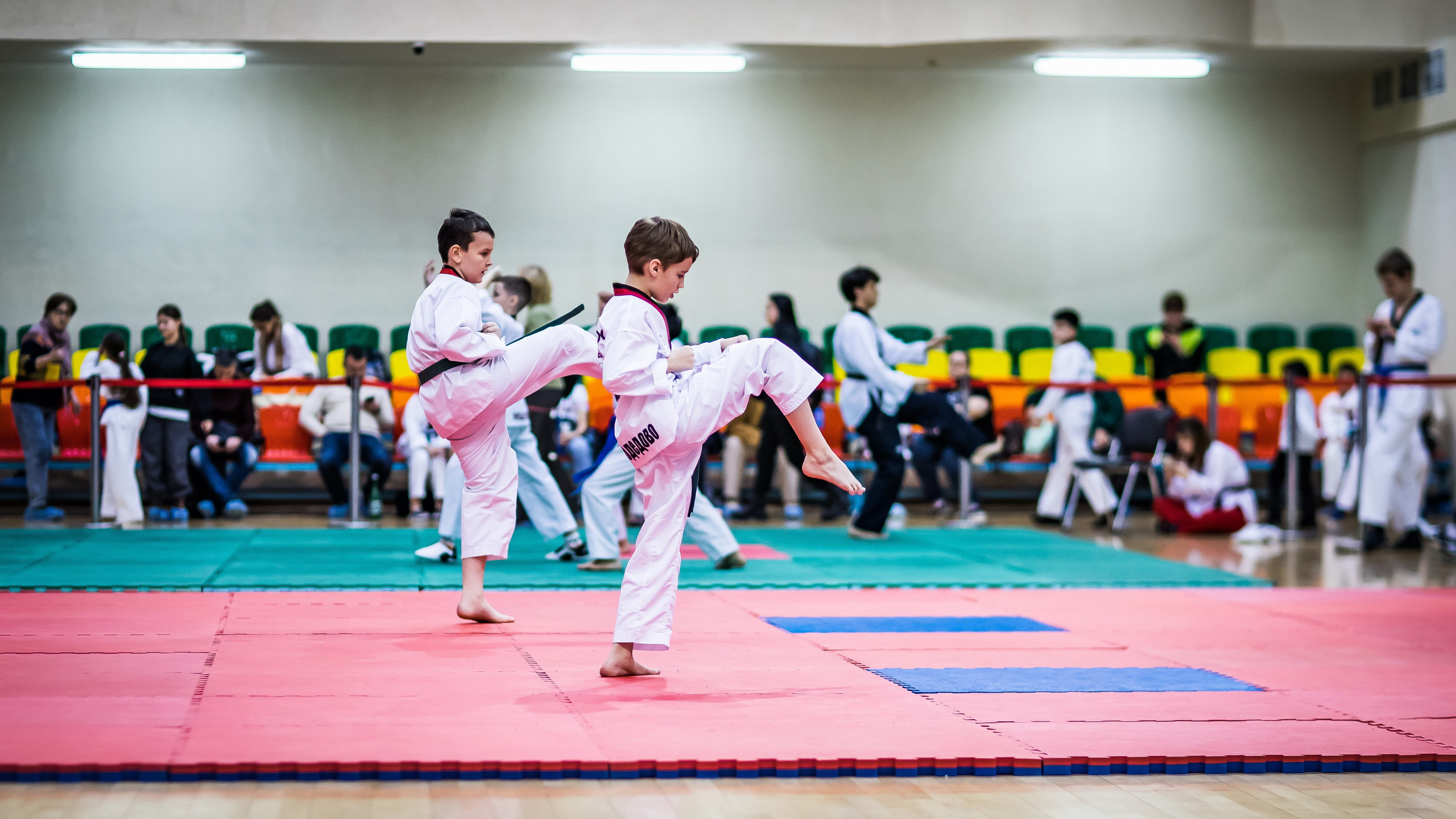 Турнир Федерации детского тхэквондо России по дисциплине ПХУМСЭ. Спортивный фотограф Максим Серегин