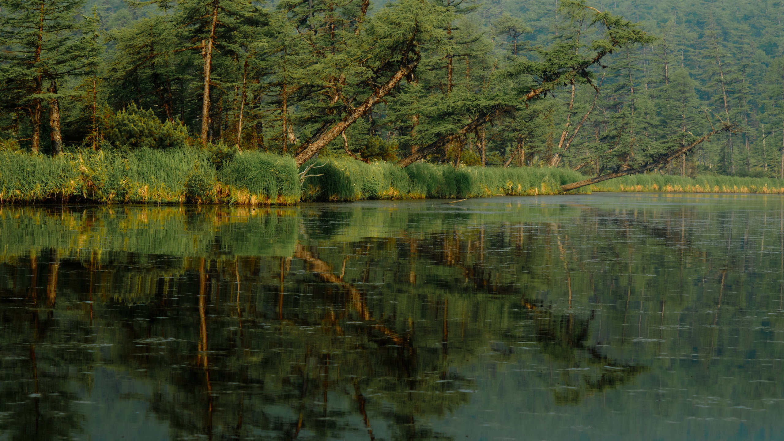 AQUATICS. Из Хабаровска до Шантарских островов. Юрий Березнюк. Фотожурналистика