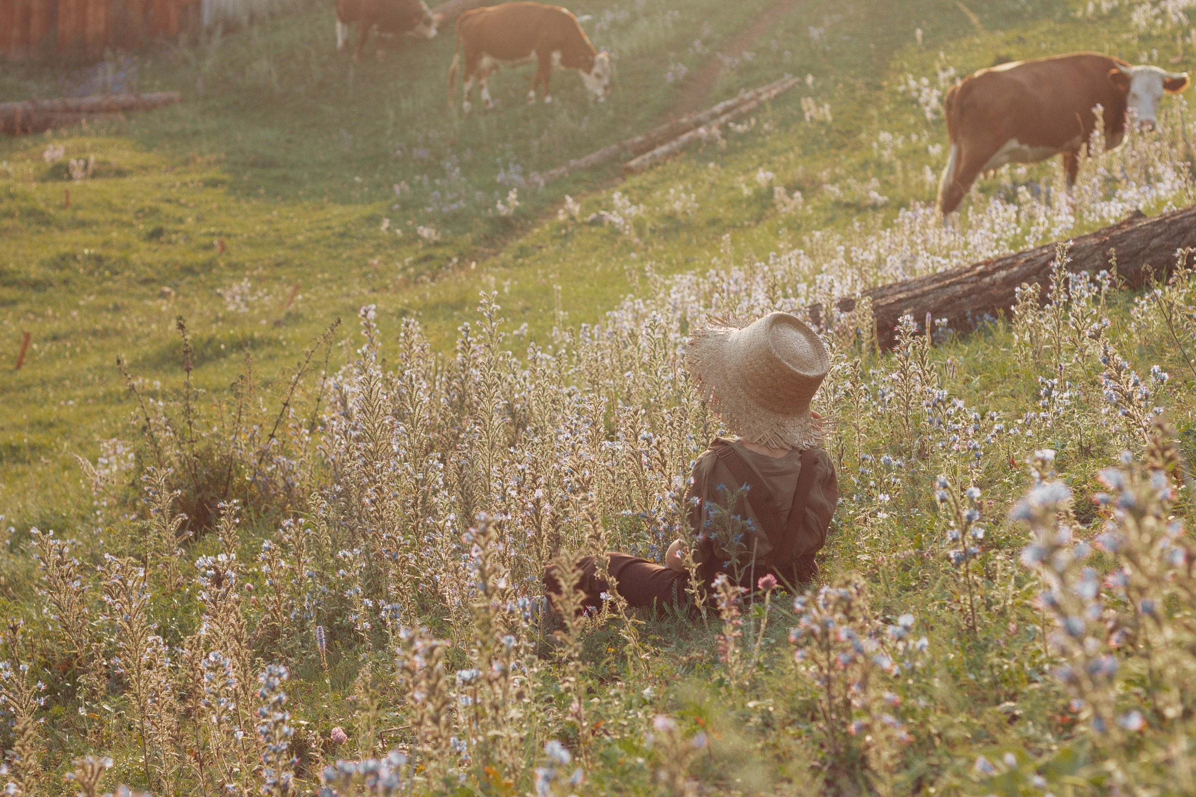 Пастушок. Детский и семейный фотограф в Бердске и Новосибирске Дарья Гребнева