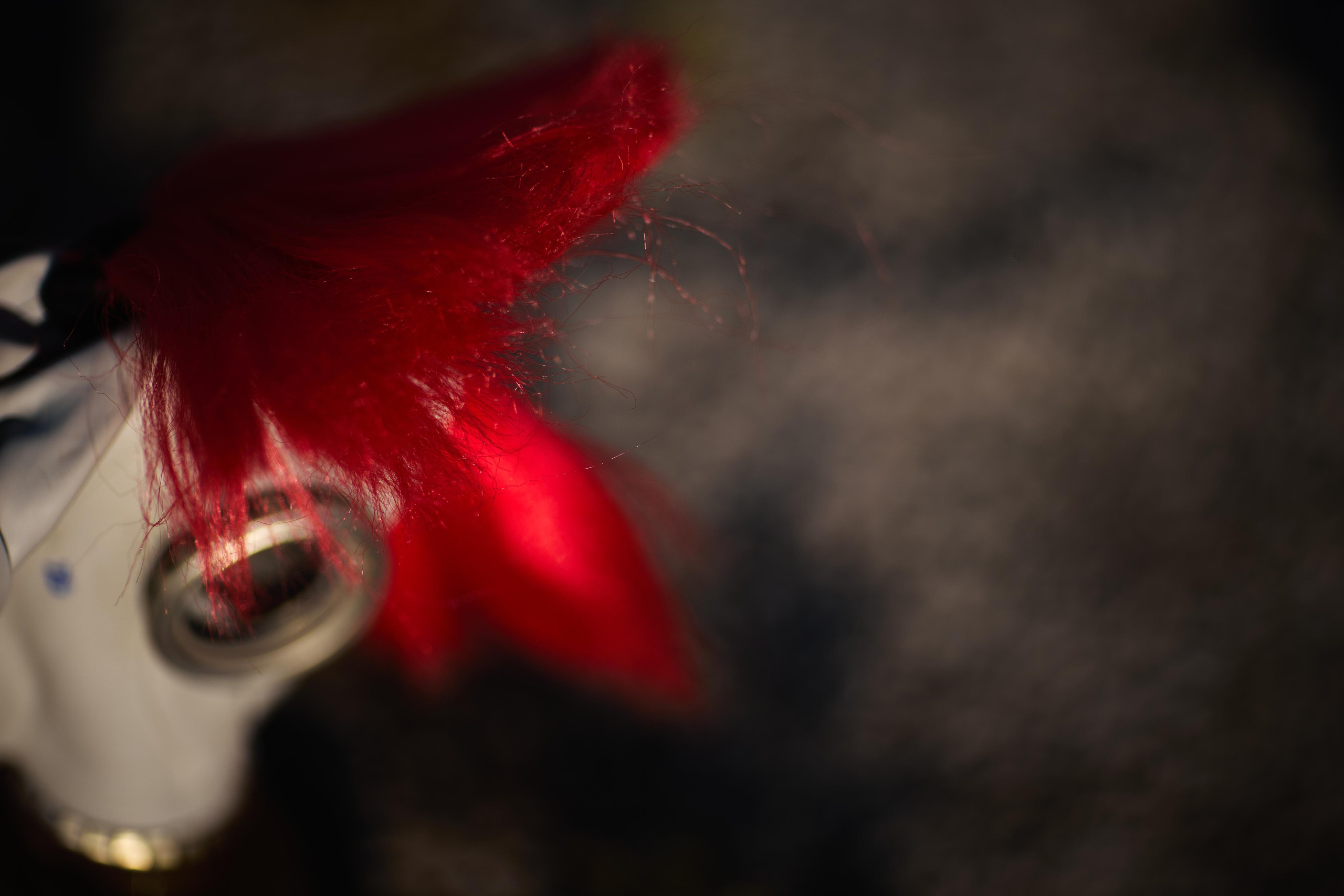 Валентин. Фотограф в Ростове-на-Дону Ника Обида