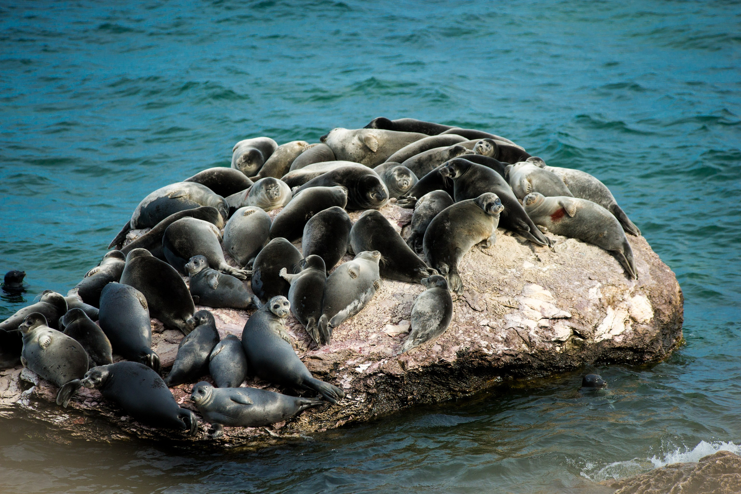 Фотографии озера Байкал. Петр Ступень. Свадебное, семейное фото и видео. Москва. Краснодар