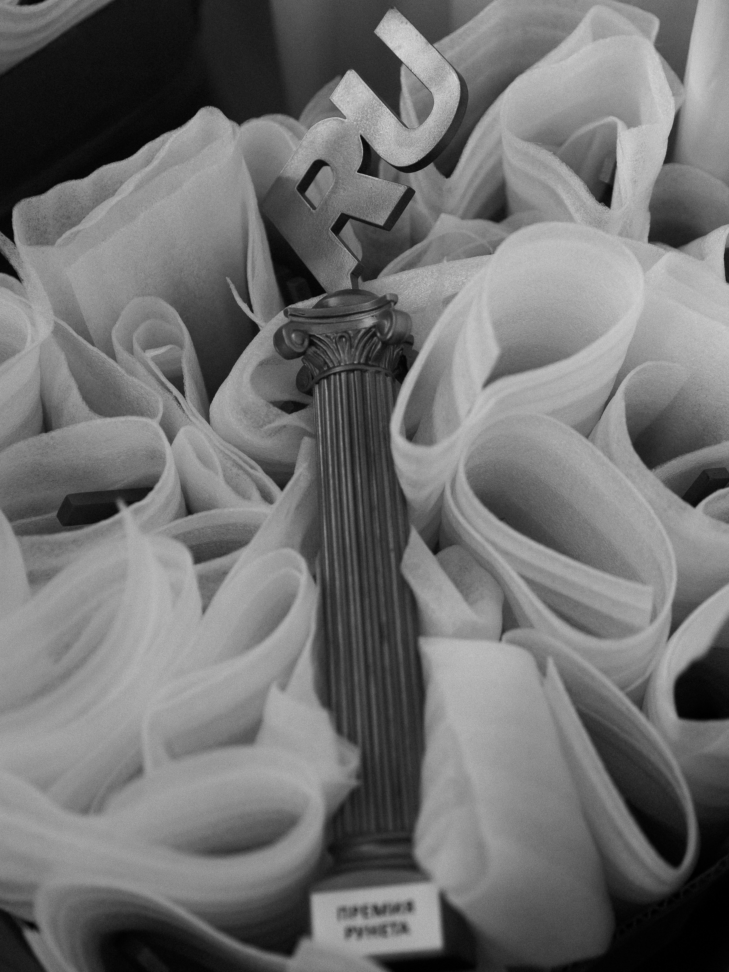 Бэкстейдж Премия Рунет 2025. NesterovaMaria.ru