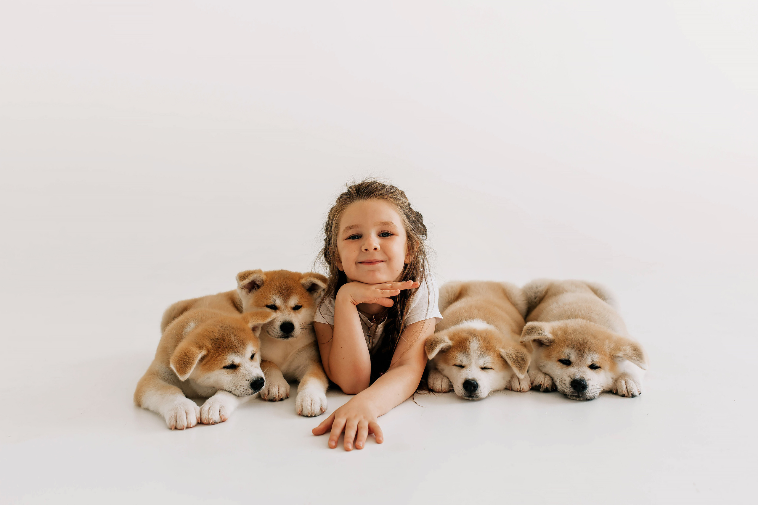 Съемка с щенками акита ину. Свадебный и семейный фотограф в Краснодар, Россия