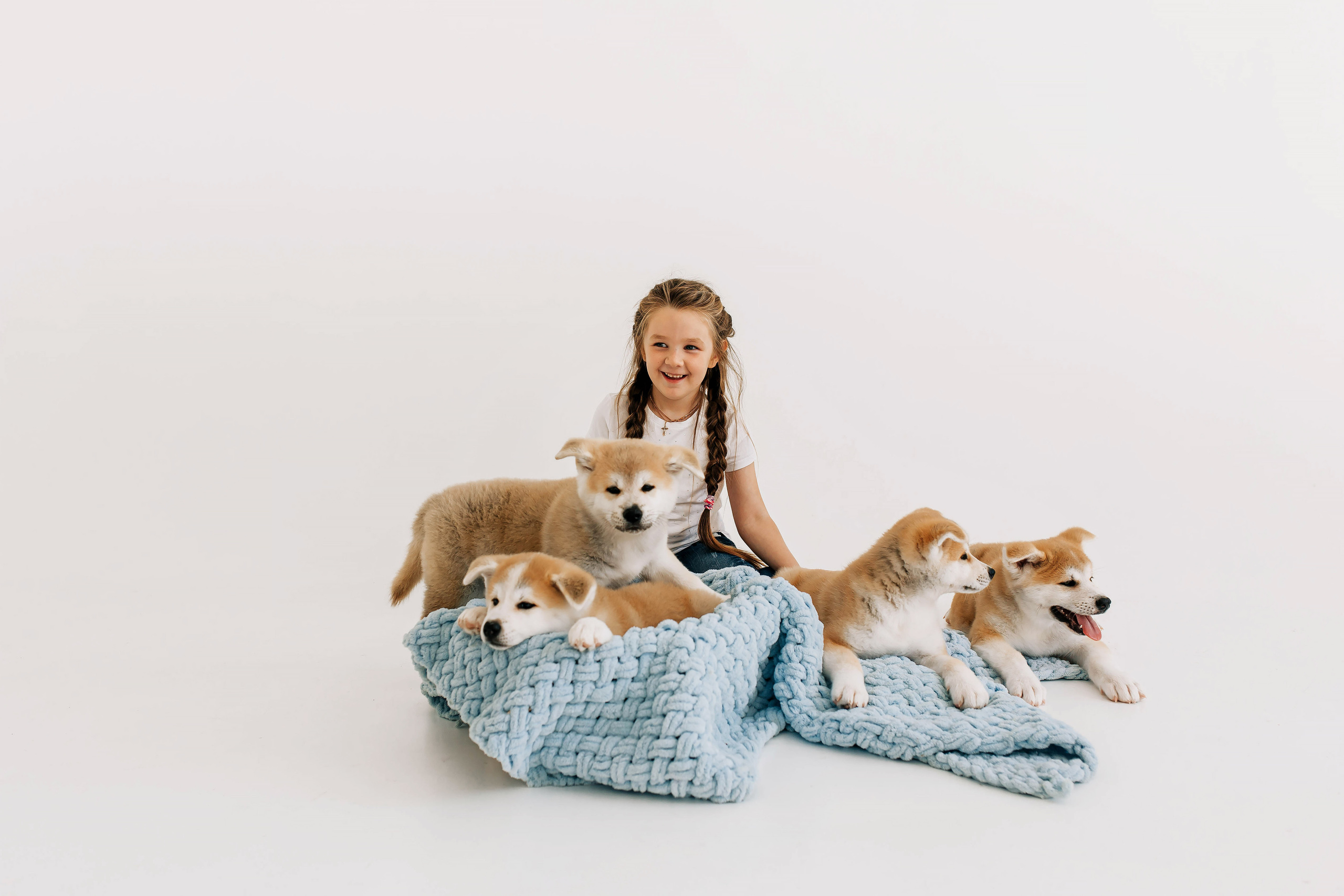 Съемка с щенками акита ину. Свадебный и семейный фотограф в Краснодар, Россия