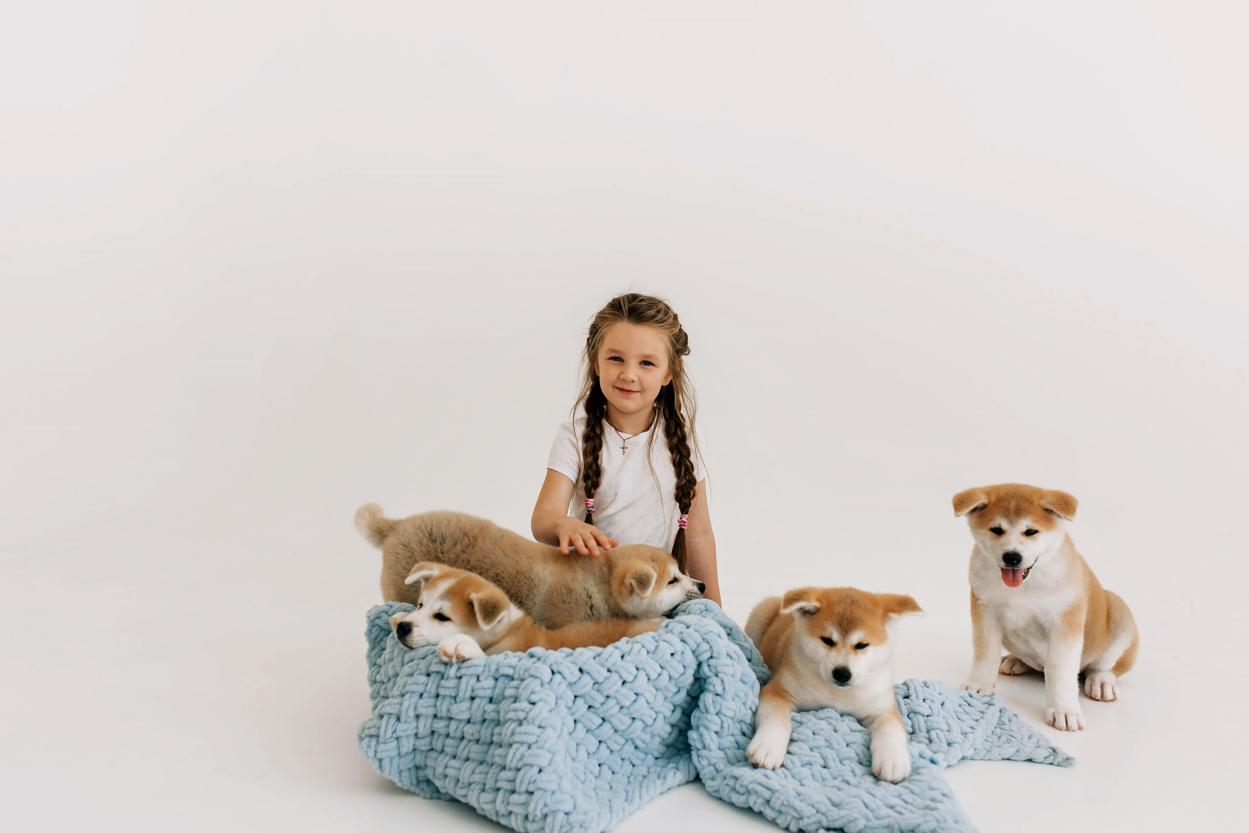 Съемка с щенками акита ину. Свадебный и семейный фотограф в Краснодар, Россия
