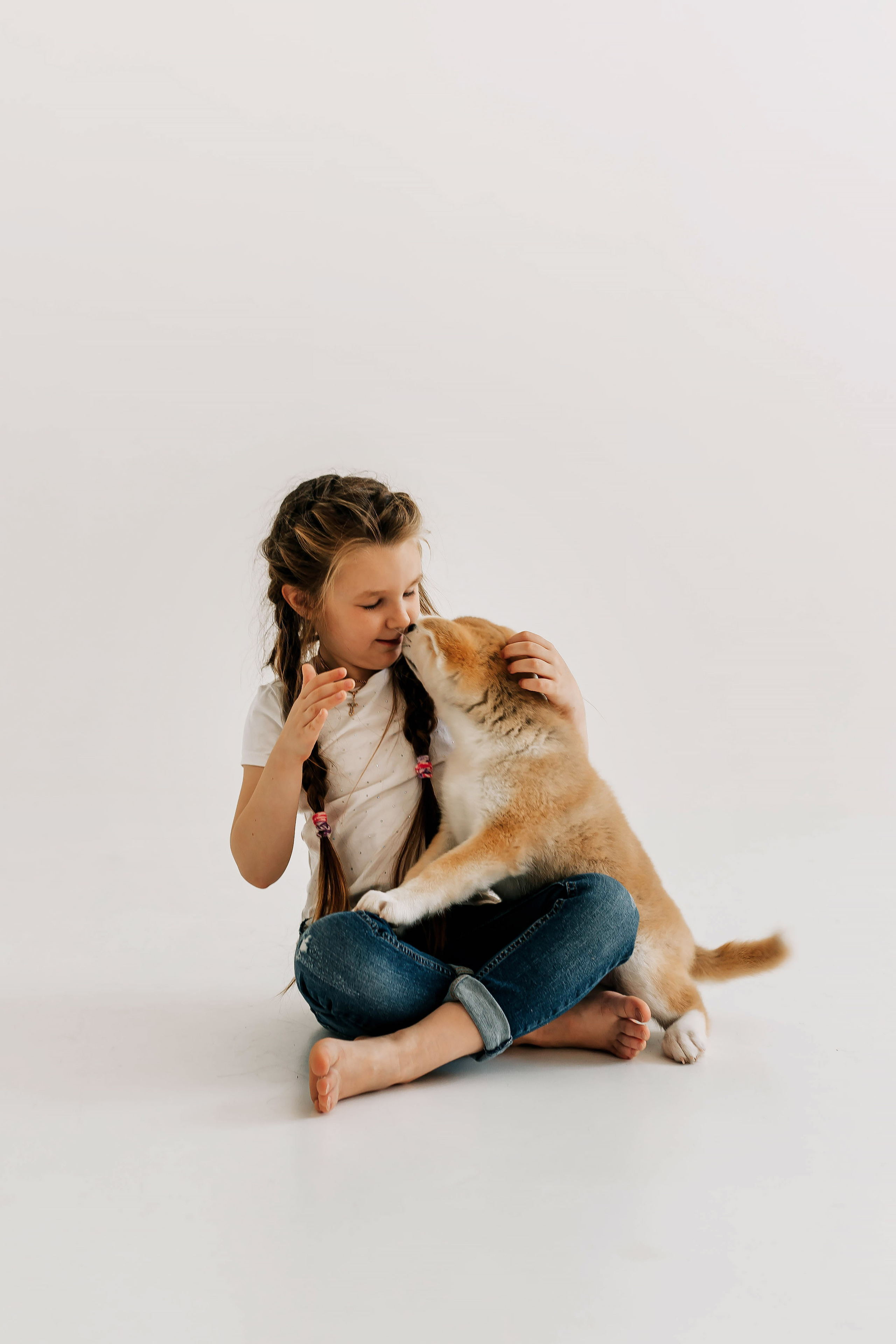 Съемка с щенками акита ину. Свадебный и семейный фотограф в Краснодар, Россия