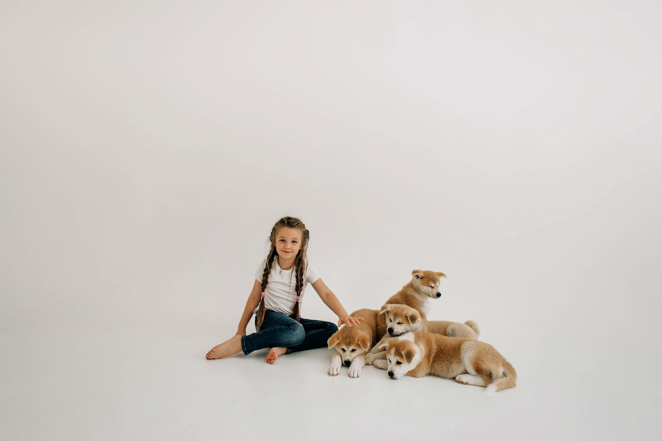 Съемка с щенками акита ину. Свадебный и семейный фотограф в Краснодар, Россия