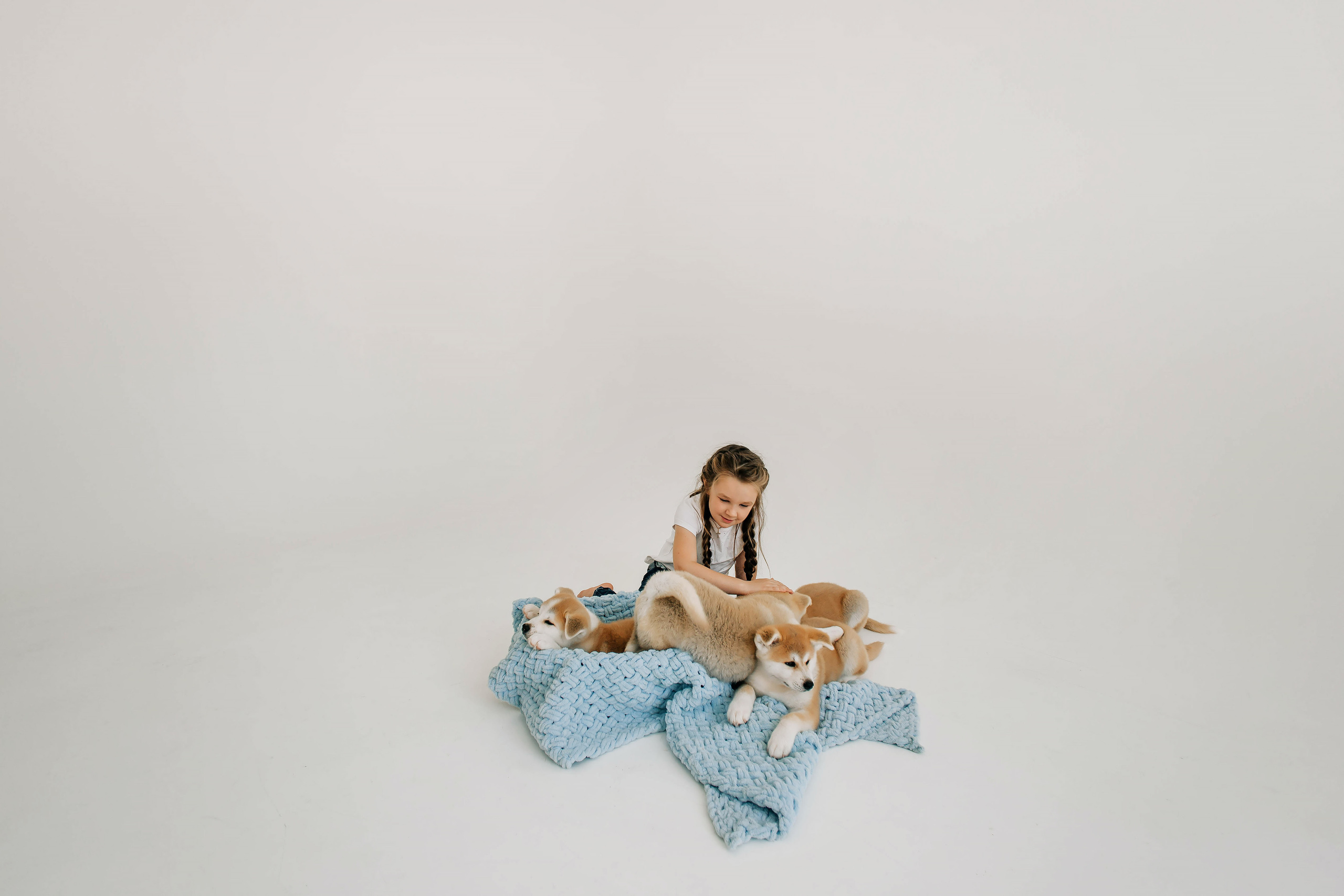 Съемка с щенками акита ину. Свадебный и семейный фотограф в Краснодар, Россия