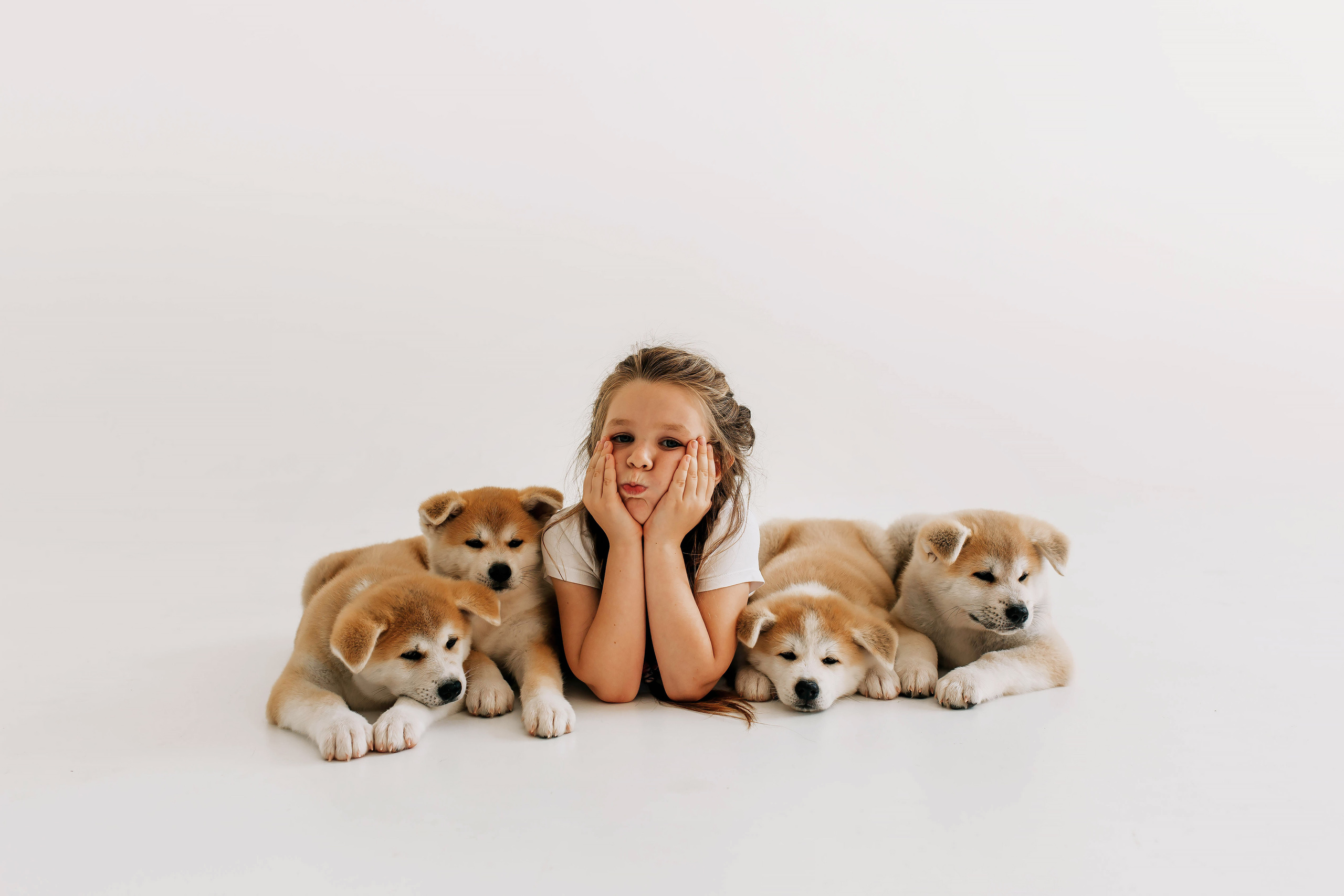 Съемка с щенками акита ину. Свадебный и семейный фотограф в Краснодар, Россия