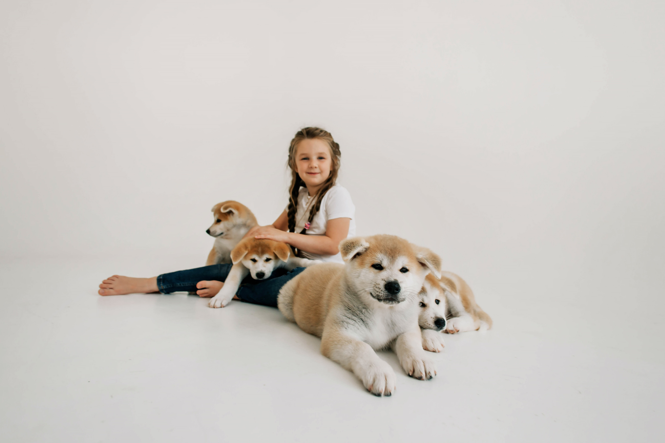 Съемка с щенками акита ину. Свадебный и семейный фотограф в Краснодар, Россия