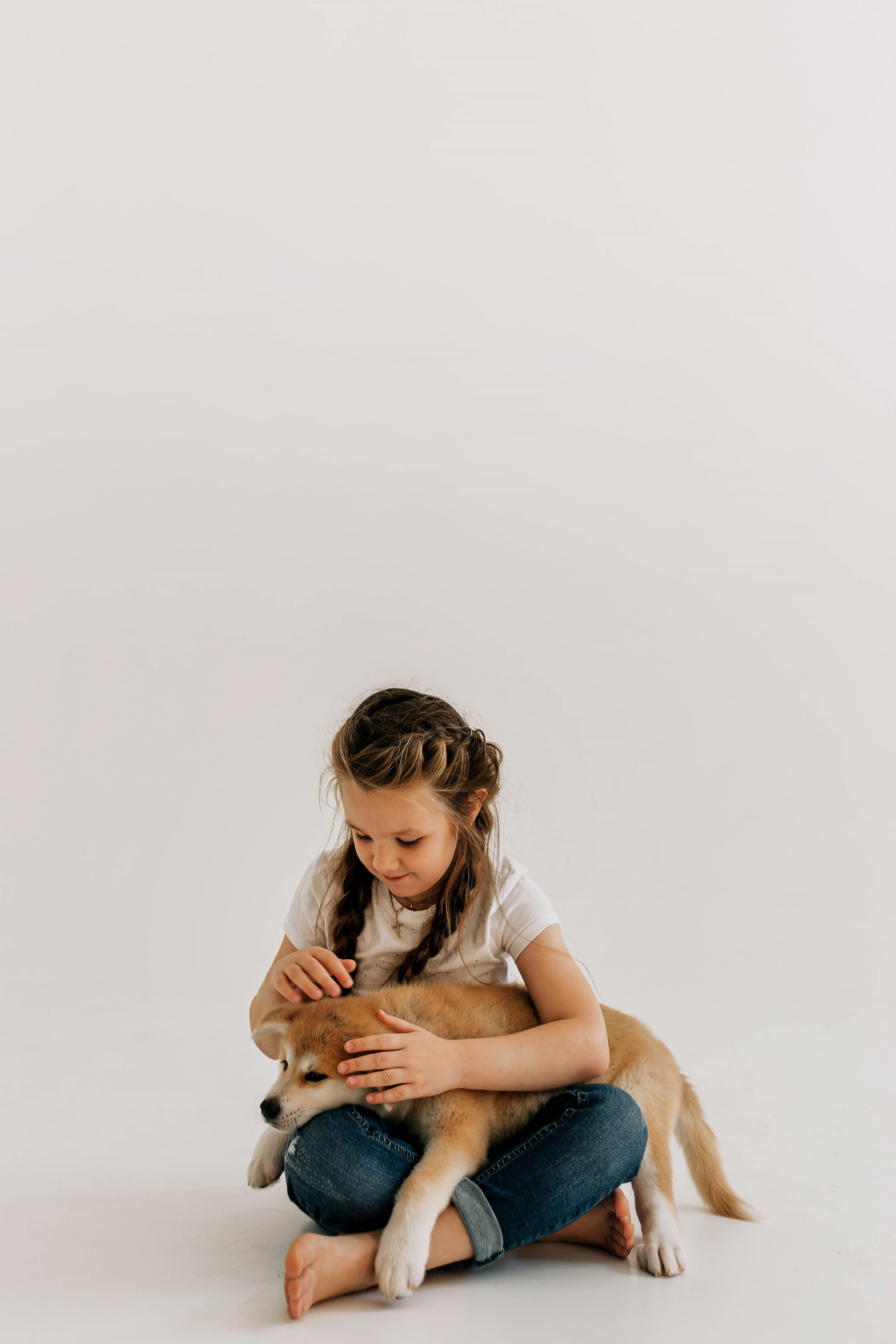 Съемка с щенками акита ину. Свадебный и семейный фотограф в Краснодар, Россия