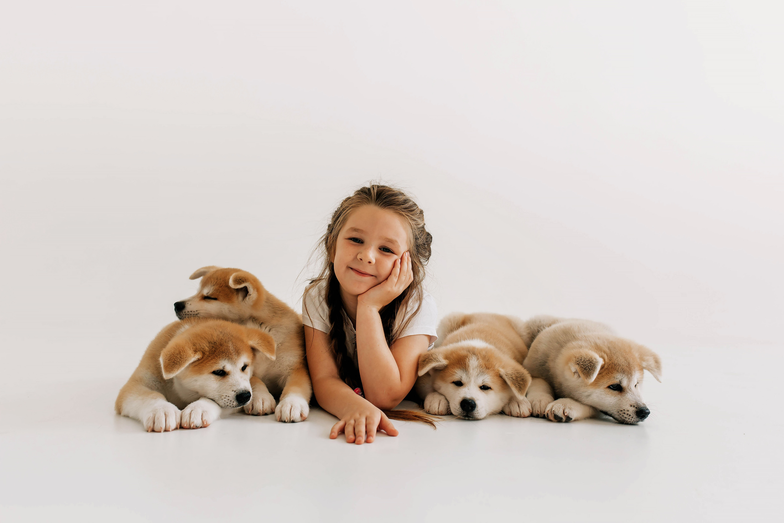 Съемка с щенками акита ину. Свадебный и семейный фотограф в Краснодар, Россия