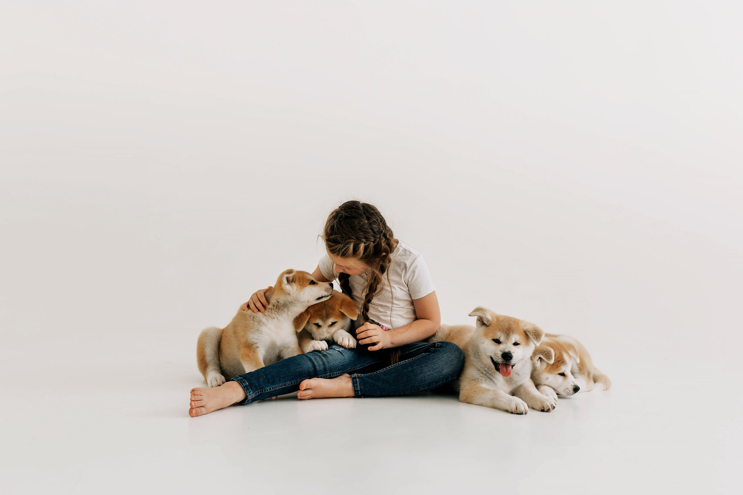 Съемка с щенками акита ину. Свадебный и семейный фотограф в Краснодар, Россия