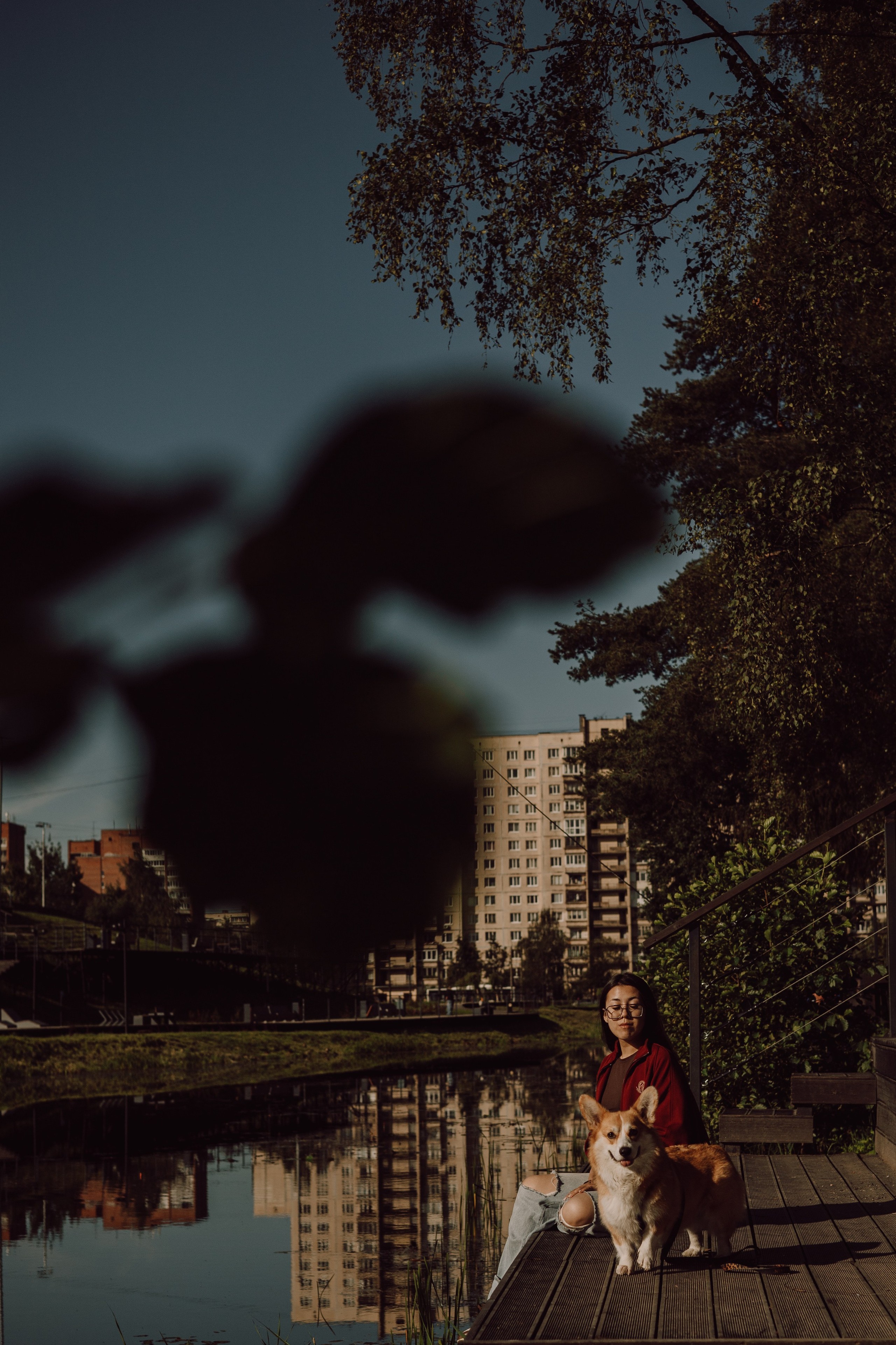 Мари & Йосик. Фотограф — анималист •love-story•|Санкт-Петербург