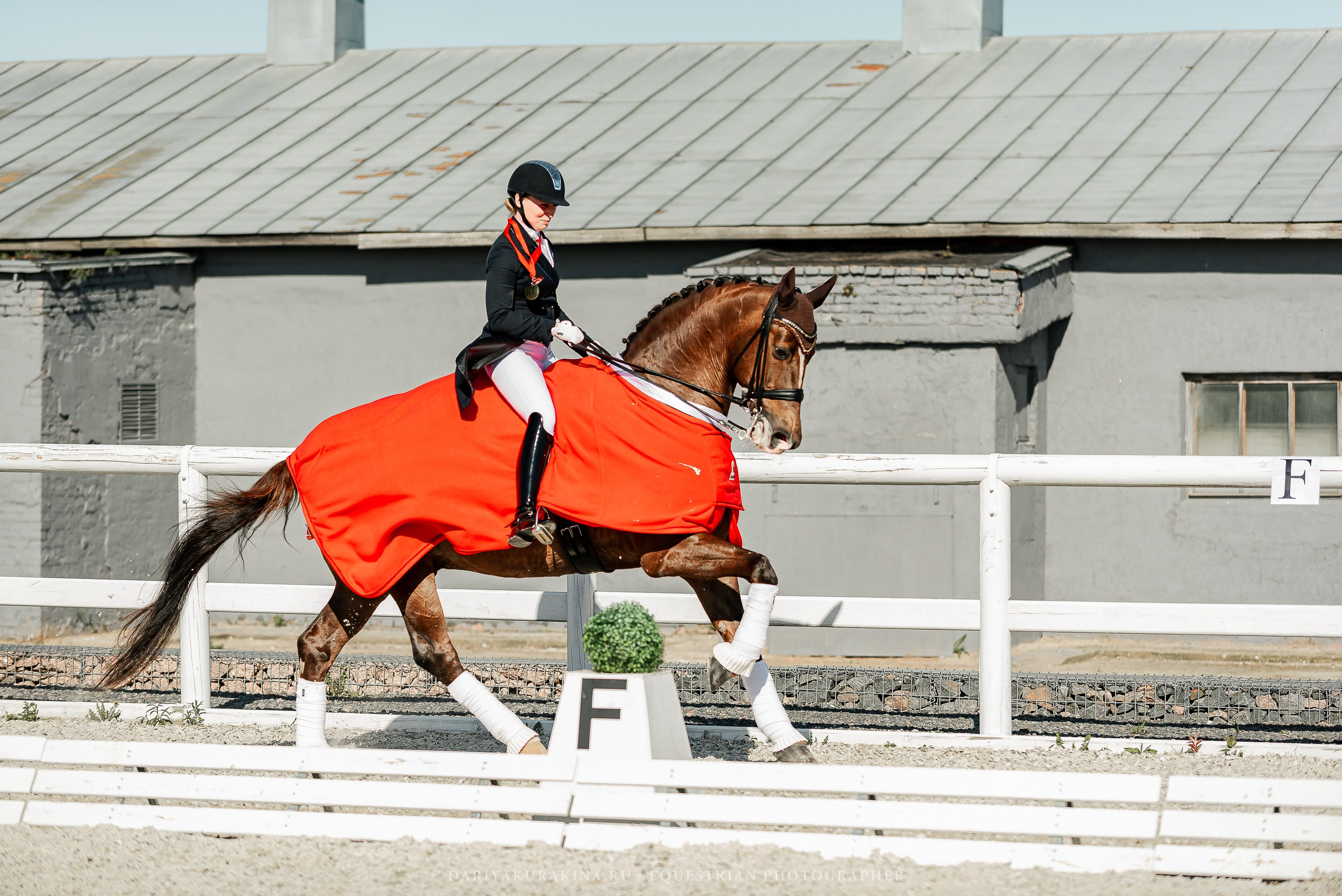 РЕПОРТАЖ МКК ВОЛЬТ «LA TULIPS». Конный фотограф Куракина Дарья • Фотосессии с лошадьми