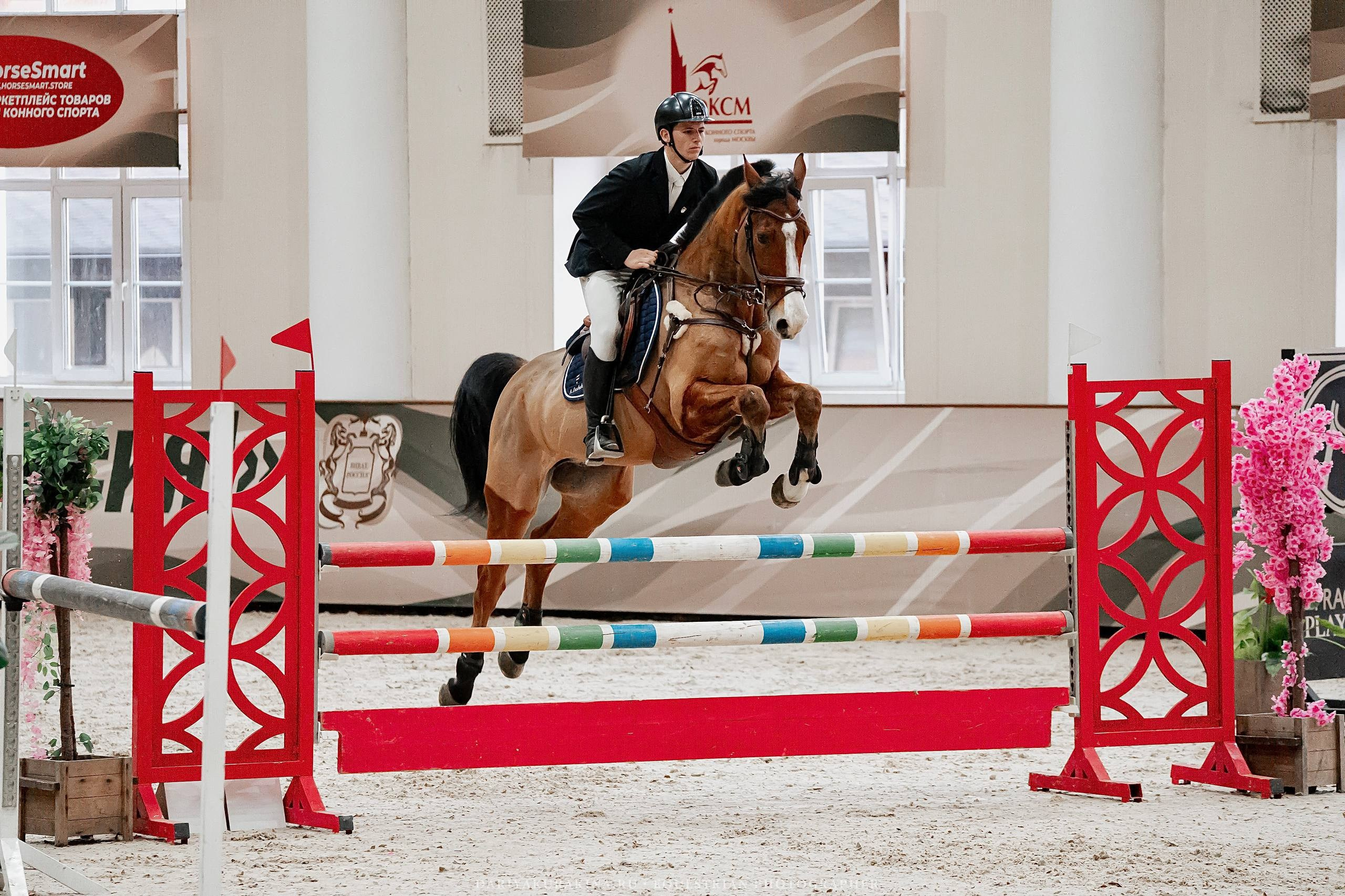 ЗИМНИЙ КУБОК ФЕДЕРАЦИИ КОННОГО СПОРТА ГОРОДА МОСКВЫ. Куракина Дарья • Конный фотограф