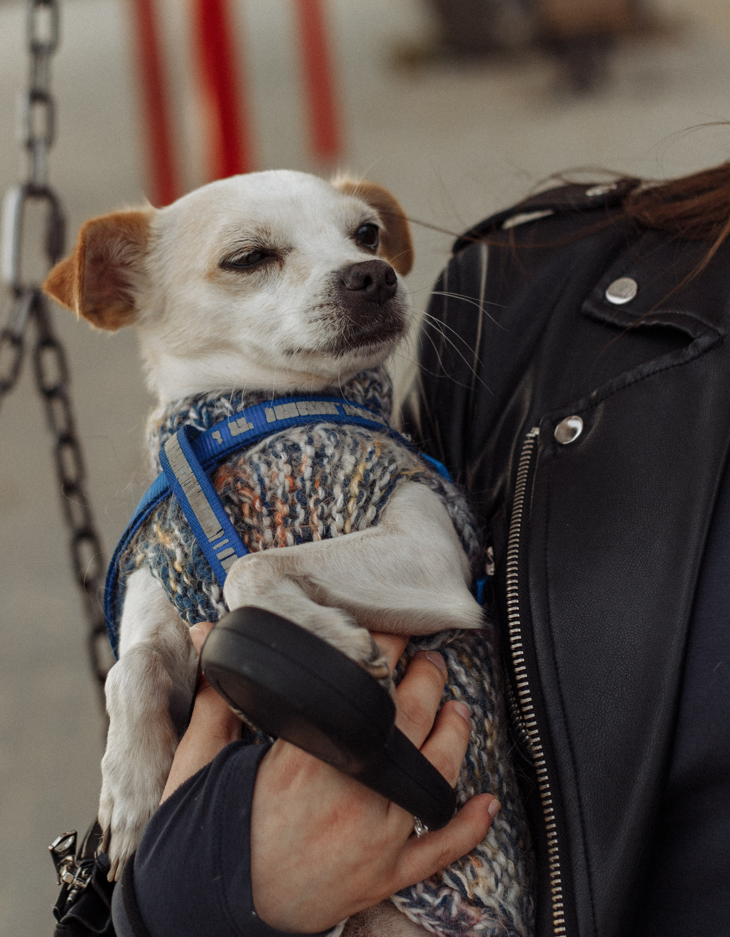 Дарья и Константин. Фотограф в Челябинске Березина Екатерина