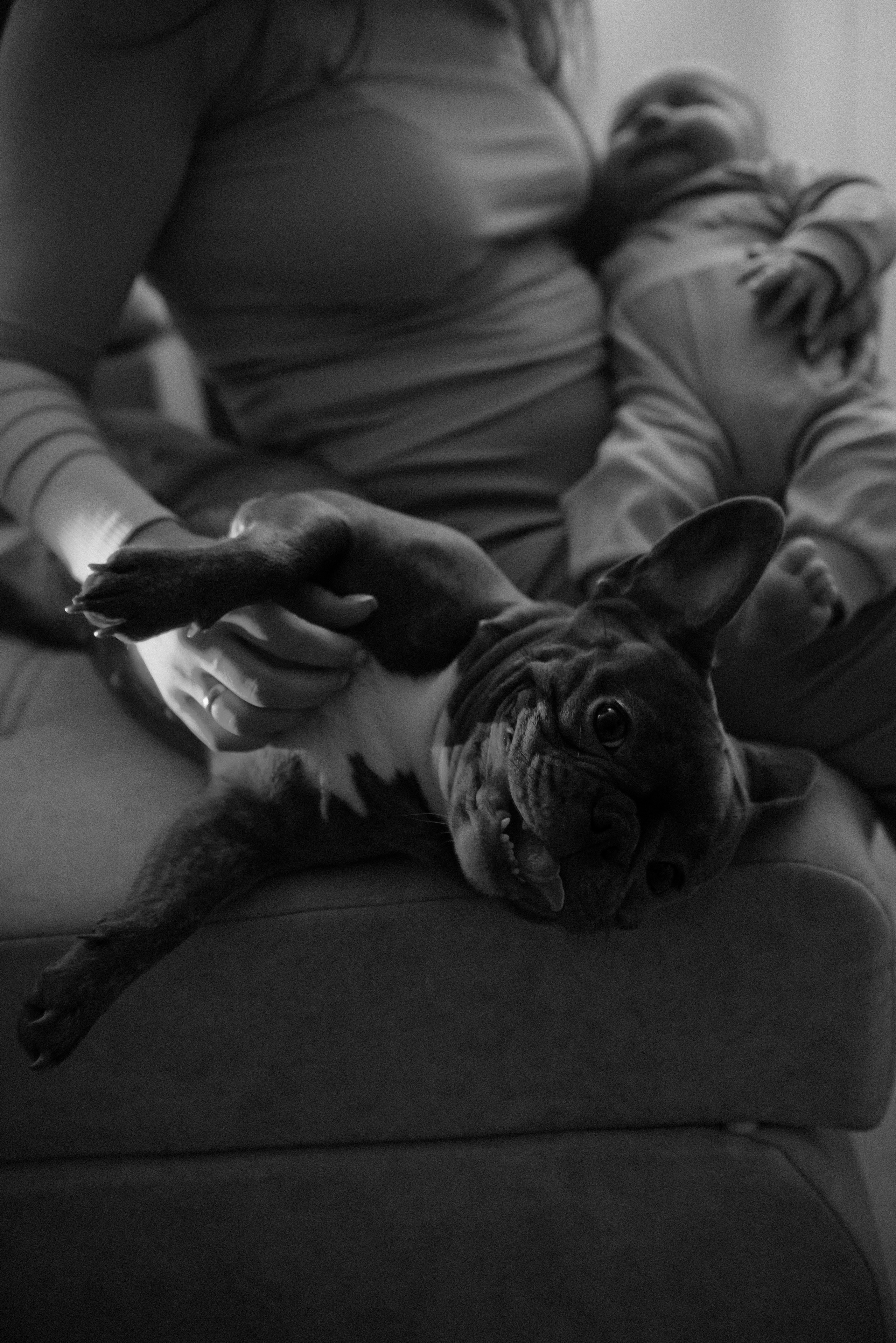 Катя. Свадебный, портретный, фотограф беременности в Нижнем Новгороде Алина Зиновьева