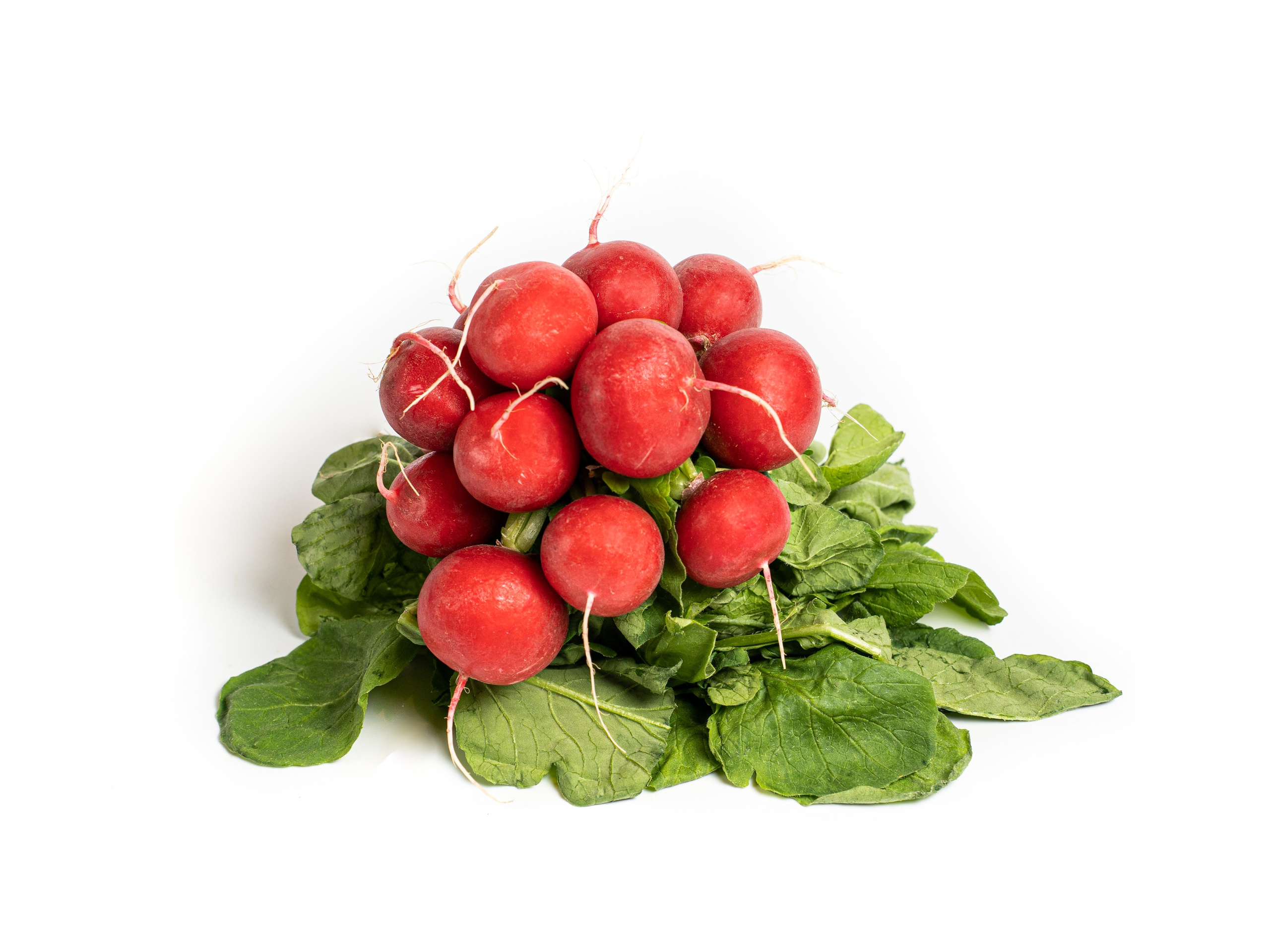 Яндекс Маркет. Предметный и фуд-фотограф в Москве Анна Царенко